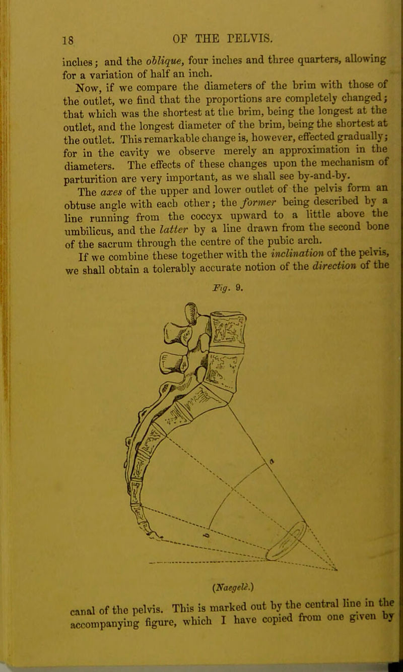 inches; and the oblique, four inches and three quarters, allowing for a variation of half an inch. Now, if we compare the diameters of the hrim with those of the outlet, we find that the proportions are completely changed; that which was the shortest at the brim, being the longest at the outlet, and the longest diameter of the brim, being the shortest at the outlet. This remarkable change is, however, effected gradually; for in the cavity we observe merely an approximation in the diameters. The effects of these changes upon the mechanism of parturition are very important, as we shall see by-and-by. The axes of the upper and lower outlet of the pelvis form an obtuse angle with eacb other; the former being described by a line running from the coccyx upward to a little above the umbilicus, and the latter by a line drawn from the second bone of the sacrum through the centre of the pubic arch. If we combine these together with the inclination of the pelvis, we shall obtain a tolerably accurate notion of the direction of the Fig. 9. (Natgeli.) canal of the pelvis. This is marked out by the central line in the accompanying figure, which I have copied from one g.ven by