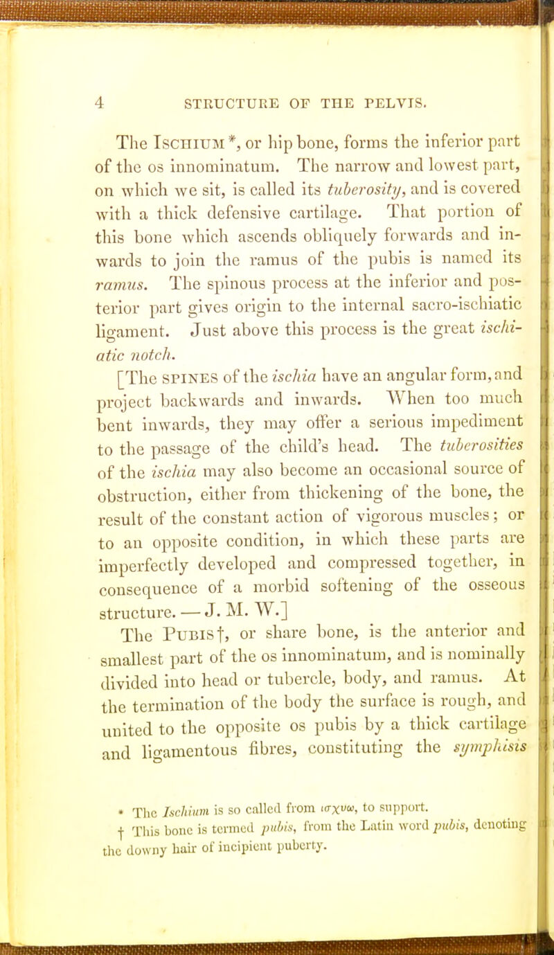 The Ischium *, or hip bone, forms the inferior part of the OS innomlnatum. The narrow and lowest part, on which we sit, is called its tuberosity, and is covered with a thick defensive cartilage. That portion of this bone which ascends obliqnely forwards and in- wards to join the ramus of the pubis is named its ramus. The spinous process at the inferior and pos- terior part gives origin to the internal sacro-ischiatic ligament. Just above this process is the great ischi- atic notch. [The SPINES of the iscliia have an angular form, and project backwards and inwards. When too much laent inwards, they may offer a serious impediment to the passage of the child's head. The tuberosities of the ischia may also become an occasional source of obstruction, either from thickening of the bone, the result of the constant action of vigorous muscles ; or to an opposite condition, in which these parts are imperfectly developed and compressed together, in consequence of a morbid softening of the osseous structure. — J. M. W.] The Pubis jj or share bone, is the anterior and smallest part of the os innominatum, and is nominally divided into head or tubercle, body, and ramus. At the termination of the body the surface is rough, and united to the opposite os pubis by a thick cartilage and ligamentous fibres, constituting the spnphisis • The Ischium is so calleil from laxvu, to siipjiort. f This bone is termed piiliis, IVom the Latiii word pubis, dcuotiug the downy hair of incipient puberty.