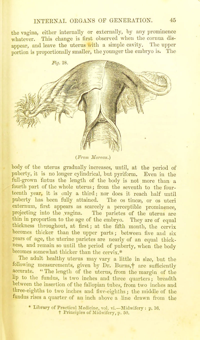 the vagina, either internally or externally, by any prominence whatever. This change is first observed when the cornua dis- appear, and leave the uterus With a simple cavity. The upper portion is proportionally smaller, the younger the embryo is. The (From Moreau.) body of the uterus gi'adually increases, until, at the period of puberty, it is no longer cylindi-ical, but pyriform. Even in the full-grown fcetus the length of the body is not more than a fourth part of the whole uterus; from the seventh to the four- teenth year, it is .)nly a third; nor does it reach half until puberty has been fully attained. The os tincse, or os uteri externum, first appears as scarcely a perceptible prominence, projecting into the vagina. The parietes of the uterus are thin in proportion to the age of the embryo. They are of equal thickness throughout, at first; at the fifth month, the cervix becomes thicker than the upper parts; between five and six years of age, the uterine parietes are nearly of an equal thick- ness, and remain so until the period of puberty, when the body becomes somewhat thicker than the cervix.* The adult healthy uterus may vary a little in size, but the following measurements, given by Dr. Burns,t are sufficiently accurate.  The length of the uterus, from the margin of the lip to the fundus, is two inches and tlu-ee quarters; breadth between the insertion of the fallopian tubes, fr om two inches and three-eighths to two inches and five-eighths; the middle of the fundus rises a quarter of an inch above a line drawn from the * Library of Practicnl Medicine, vol. vi.—Midwilcry : p. 16. t Principles of Midwifery, p. 50.