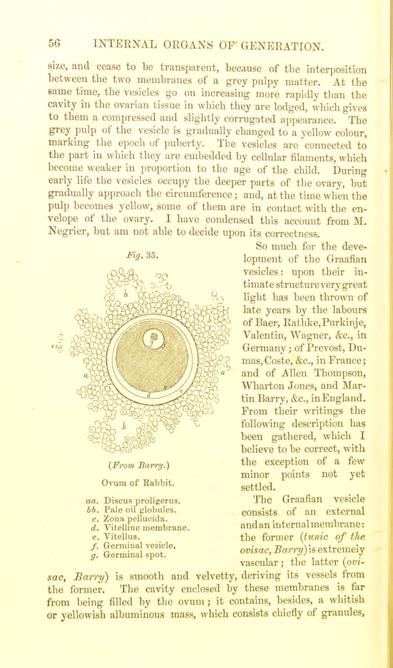 size, and cease to bo transparent, because of the interposition between the two membranes of a grey pulpy matter. At the same time, the vesicles go on increasing more rapidly than the cavity in the ovarian tissue in which they are lodged, which gives to them a compressed and slightly corrugated appearance. The grey pulp of the vesicle is gradually changed to a yellow colour, marking the epoch of puberty. The vesicles are connected to the part in which they are embedded by cellular filaments, which become weaker in proportion to the age of the child. Durino- early life the vesicles occupy the deeper parts of the ovary, but gradually approach the circumference; and, at the time when the pulp becomes yellow, some of them are in contact with the en- velope of the ovary. I have condensed this account from M. Negrier, but am not able to decide upon its correctness. So much for the deve- lopment of the Graafian vesicles: upon their in- timate structure very great light has been thrown of late years by the laboure of Baer, Rathke.Purkinje, Valentin, Wagner, &c., in Germany; of Provost, Du- mas, Coste, &c., in France; and of Allen Tliompson, Wharton Jones, and Mar- tin Barry, &c., inEngland. From their writings the following description has been gathered, which I believe to be correct, with the exception of a few minor points not yet settled. The Graafian vesicle consists of an external and an internal membrane: the former {liinic of the ovisac, Barnj) is extremely vascular; the latter {ovi- sac, Barry) is smooth and velvetty, deriving its vessels from the ibrmer. The cavity enclosed by these membranes is far from being filled by the ovum ; it contains, besides, a whitish or yellowish albuminous mass, which consists chiefly of granules. Fig. 35. (From Barrtj.) Ovum of Rabbit. aa. Discus prolipenis. bb. Pale oil globules. c. Zona pellucida. d. Vitelline membrane. e. Vitellus. /. Germinal vesicle. g. Germinal spot.