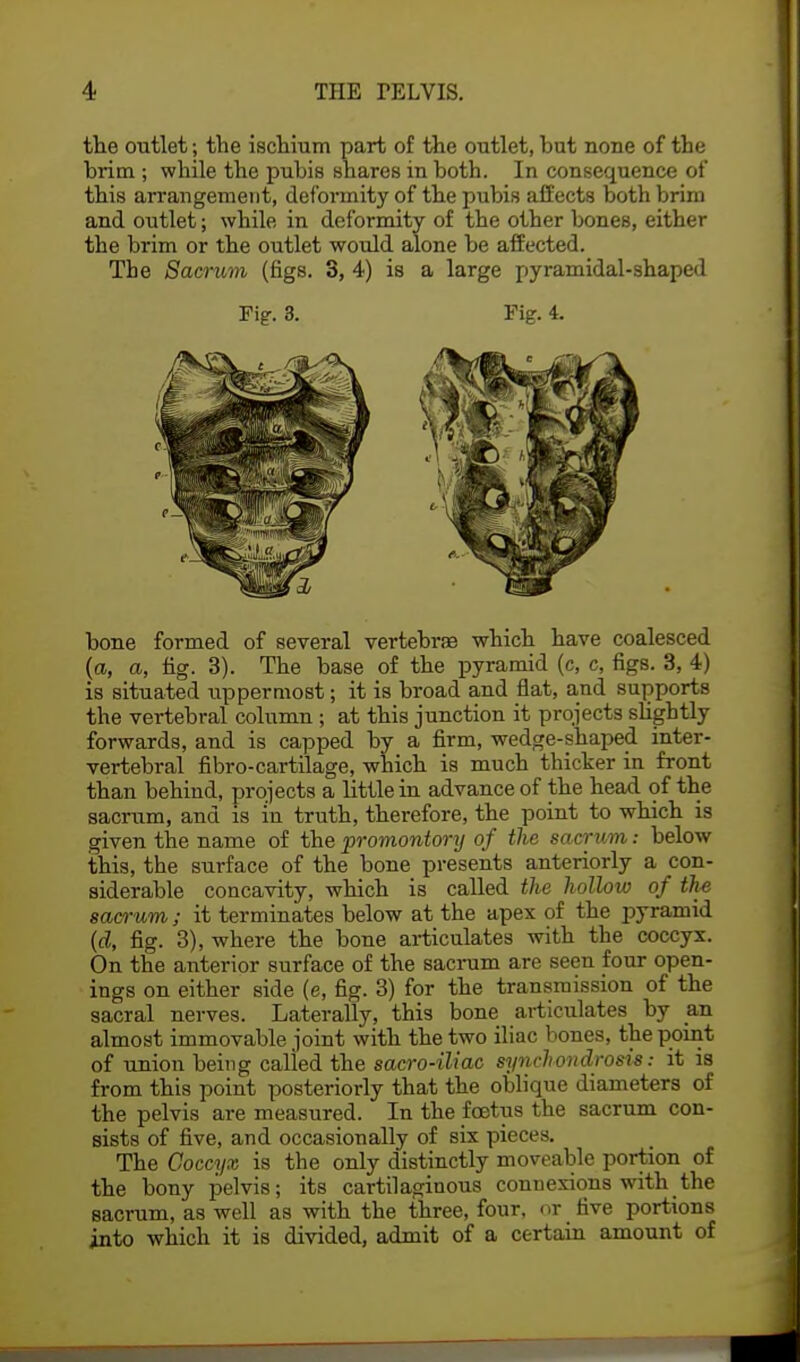 the outlet; the ischium part of the outlet, hut none of the brim ; while the pubis shares in both. In consequence of this arrangement, deformity of the pubis affects both brim and outlet; while in deformity of the other bones, either the brim or the outlet would alone be affected. The Sacrum (figs. 3, 4) is a large pyramidal-shaped Fig. 3. Fig. 4. bone formed of several vertebra which have coalesced (a, a, fig. 3). The base of the pyramid (c, c, figs. 3, 4) is situated uppermost; it is broad and flat, and supports the vertebral column; at this junction it projects slightly forwards, and is capped by a firm, wedge-shaped inter- vertebral fibro-cartilage, which is much thicker in front than behind, projects a little in advance of the head of the sacrum, and is in truth, therefore, the point to which is given the name of the promontory of the sacrum: below this, the surface of the bone presents anteriorly a con- siderable concavity, which is called the hollow of the sacrum; it terminates below at the apex of the pyramid \d, fig. 3), where the bone articulates with the coccyx. On the anterior surface of the sacrum are seen four open- ings on either side (e, fig. 3) for the transmission of the sacral nerves. Laterally, this bone articulates by an almost immovable joint with the two iliac bones, the point of union being called the sacro-iliac synchondrosis: it is from this point posteriorly that the oblique diameters of the pelvis are measured. In the foetus the sacrum con- sists of five, and occasionally of six pieces. The Coccyx is the only distinctly moveable portion of the bony pelvis; its cartilaginous connexions with the sacrum, as well as with the three, four, or five portions into which it is divided, admit of a certain amount of