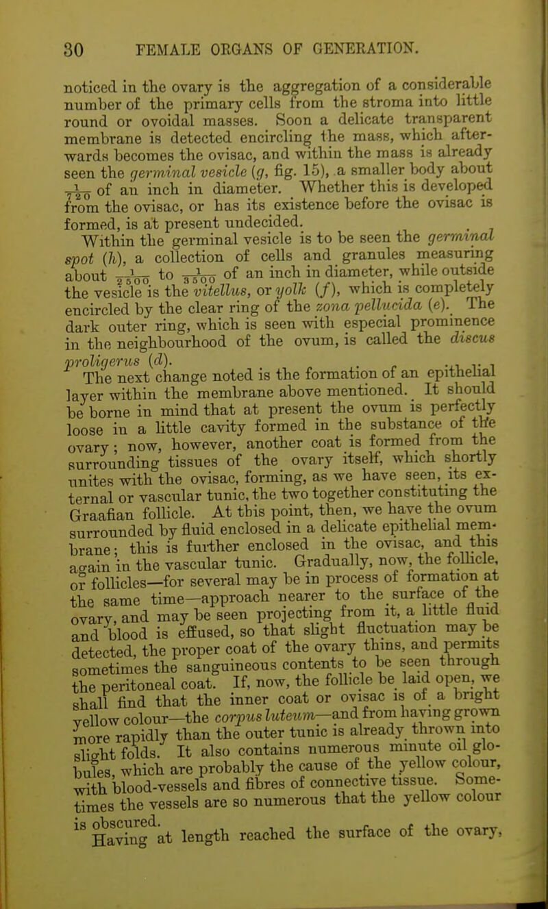 noticed in the ovary is the aggregation of a considerable number of the primary cells from tbe stroma into little round or ovoidal masses. Soon a delicate transparent membrane is detected encircling the mass, which after- wards becomes the ovisac, and within the mass is already seen the germinal vesicle (g, fig. 15), a smaller body about of aii inch in diameter. Whether this is developed from the ovisac, or has its existence before the ovisac is formed, is at present undecided. Within the germinal vesicle is to be seen the germinal spot (h), a collection of cells and granules measuring about ^oo t0 35V0 of an inch in diameter, while outside the vesicle is the vitellus, or yolk (/), which is completely encircled by the clear ring of the zona pellucida (e). The dark outer ring, which is seen with especial prominence in the neighbourhood of the ovum, is called the discus proligerus (d). t . The next change noted is the formation of an epithelial layer within the membrane above mentioned. It should be borne in mind that at present the ovum is perfectly loose in a little cavity formed in the substance of the ovary • now, however, another coat is formed from the surrounding tissues of the ovary itself, which shortly unites with the ovisac, forming, as we have seen, its ex- ternal or vascular tunic, the two together constituting the Graafian follicle. At this point, then, we have the ovum surrounded by fluid enclosed in a delicate epithelial mem- brane; this is further enclosed in the ovisac, and this acain in the vascular tunic. Gradually, now the follicle o? follicles—for several may be in process of formation at the same time-approach nearer to the surface of the ovary, and may be seen projecting from it, a little fluid and blood is effused, so that shgbt fluctuation may be detected, the proper coat of the ovary thins, and permits sometimes the sanguineous contents to be seen through the peritoneal coat. If, now, the follicle be laid open, we shall find that the inner coat or ovisac is of a bright vellow colour—the corpus Zwteum-and from having grown more rapidly than the outer tunic is already thrown into slicrht folds. It also contains numerous minute oil glo- bules which are probably the cause of the yellow colour, with blood-vessels and fibres of connective tissue. Some- times the vessels are so numerous that the yellow colour 'S Havhi^at length reached the surface of the ovary,