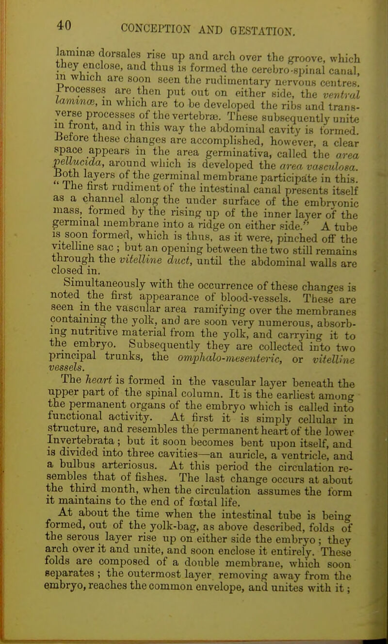 laminas dorsales rise up and arch over the groove, which they enclose, and thus is formed the cerebrospinal canal, in wmcn are soon seen the rudimentary nervous centres. Irocesses are then put out on either side, the ventral Lammm, in which are to be developed the ribs and trans- verse processes of the vertebrae. These subsequently unite in front, and in this way the abdominal cavity is formed. .Before these changes are accomplished, however, a clear space appears m the area germinativa, called the area pellucida, around which is developed the area vasculosa. ±Joth layers of the germinal membrane participate in this. Ihe first rudiment of the intestinal canal presents itself as a channel along the under surface of the embryonic mass, formed by the rising up of the inner layer of the germinal membrane into a ridge on either side. A tube is soon formed, which is thus, as it were, pinched off the vitelline sac ; but an opening between the two still remains through the vitelline duct, until the abdominal walls are closed m. Simultaneously with the occurrence of these changes is noted the first appearance of blood-vessels. These are seen m the vascular area ramifying over the membranes containing the yolk, and are soon very numerous, absorb- ing nutritive material from the yolk, and carrying it to the embryo. Subsequently they are collected into two principal trunks, the omphalomesenteric, or vitelline vessels. The heart is formed in the vascular layer beneath the upper part of the spinal column. It is the earliest amung the permanent organs of the embryo which is called into functional activity. At first it is simply cellular in structure, and resembles the permanent heart of the lower Invertebrata; but it soon becomes bent upon itself, and is divided into three cavities—an auricle, a ventricle, and a bulbus arteriosus. At this period the circulation re- sembles that of fishes. The last change occurs at about the third month, when the circulation assumes the form it maintains to the end of fcatal life. At about the time when the intestinal tube is being formed, out of the yolk-bag, as above described, folds of the serous layer rise up on either side the embryo ; they arch over it and unite, and soon enclose it entirely. These folds are composed of a double membrane, which soon separates ; the outermost layer, removing away from the embryo, reaches the common envelope, and unites with it;