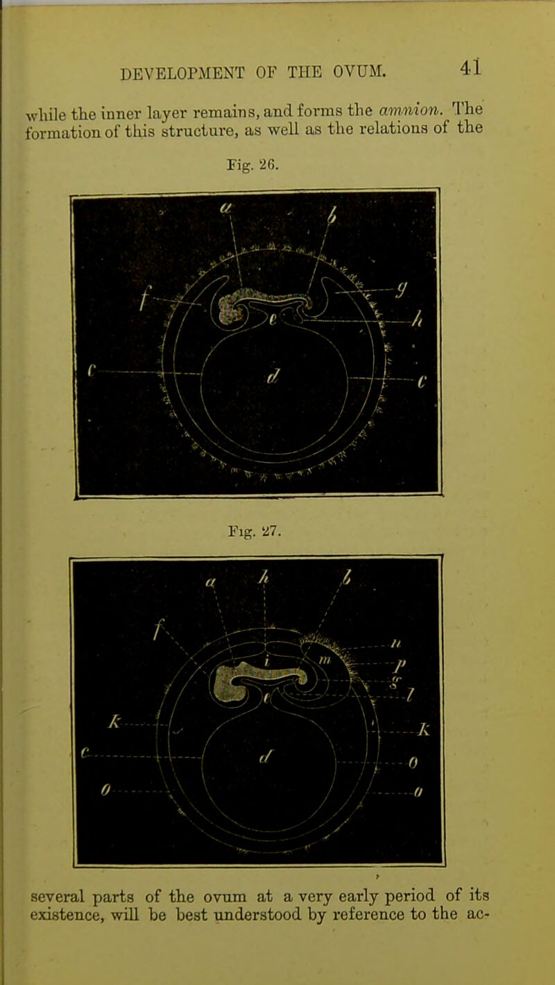 while the inner layer remains, and forms the amnion. The formation of this structure, as well as the relations of the Fig. 26. several parts of the ovum at a very early period of its existence, will he hest understood by reference to the ac-