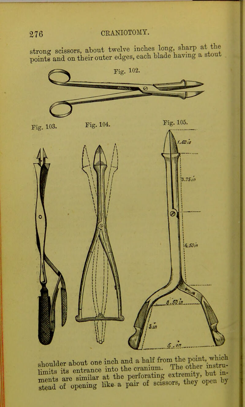 strong scissors, about twelve inches long sharp at the points and on their outer edges, each blade having a stout Fig. 102.