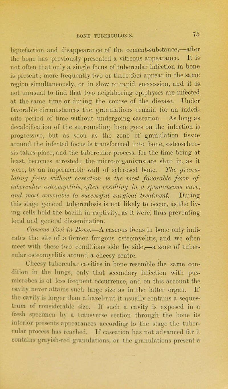 liquelliction and disappearance of the cement-substance,—after the bone lias previously presented a vitreous appearance. It is not often that only a single focus of tubercular infection in bone is present; more frequently two or three foci appear in the same region simultaneously, or in slow or rapid succession, and it is not unusual to find that two neighboring epiphyses are infected at the same time or during the course of the disease. Under favorable circumstances the granulations remain for an indefi- nite period of time without undergoing caseation. As long as decalcification of the surrounding bone goes on the infection is progressive, but as soon as the zone of granulation tissue around the infected focus is transformed into bone, osteosclero- sis takes place, and the tubercular process, for the time being at least, becomes arrested; the micro-organisms are shut in, as it were, by an impermeable wall of sclerosed bone. The granii- Jating focus loWiout caseaiion is the most favorable form of tuhercidar osteomi/eJltts, often resulting in a spontaneous cure, and most amenahJe to successfid surgical treatment. During this stage general tuberculosis is not likely to occur, as the liv- ing cells hold the bacilli in captivity, as it were, thus preventing local and general dissemination. Caseous Foci in Bone.—A caseous focus in bone only indi- cates the site of a former fungous osteomyelitis, and we often meet with these two conditions side by side,—a zone of tuber- cular osteomyelitis around a cheesy centre. Cheesy tubercular cavities in bone resemble the same con- dition in the lungs, only that secondary infection with pus- microbes is of less frequent occurrence, and on this account the cavity never attains sucli large size as in the latter organ. If the cavity i.s larger tlian a hazel-nut it usually contains a seques- trum of considerable size. If such a cavity is exposed in a fresh specimen by a transverse section through the bone its interior presents a[)[)earances according to the stage the tuber- cular proc<;ss has reached. If caseation has not advanced far it contains grayish-red granulations, or the granulations present a