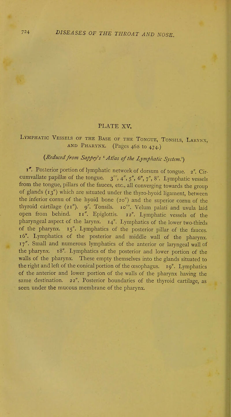 PLATE XV. Lymphatic Vessels of the Base of the Tongue, Tonsils, Larynx, AND Pharynx. (Pages 466 to 474.) {Reduced fro7n Sappey's 'Atlas of the Lymphatic System:) i. Posterior portion of lymphatic network of dorsum of tongue. 2. Cir- cumvallate papilJee of the tongue. 3, 4, 5, 6, 7, 8. Lymphatic vessels from the tongue, pillars of the fauces, etc., all converging towards the group of glands (13) which are situated under the thyro-hyoid ligament, between the inferior cornu of the hyoid bone (20) and the superior cornu of the thyroid cartilage (21). 9. Tonsils. 10. Velum palati and uvula laid open from behind. 11, Epiglottis. 12. Lymphatic vessels of the pharyngeal aspect of the larynx. 14. Lymphatics of the lower two-thirds of the pharynx. 15. Lymphatics of the posterior pillar of the fauces. 16. Lymphatics of the posterior and middle wall of the pharynx. 17. Small and numerous lymphatics of the anterior or laryngeal wall of the pharynx. t8. Lymphatics of the posterior and lower portion of the walls of the pharynx. These empty themselves into the glands situated to the right and left of the conical portion of the oesophagus. 19. Lymphatics of the anterior and lower portion of the walls of the pharynx having the same destination. 22. Posterior boundaries of the thyroid cartilage, as seen under the mucous membrane of the pharynx.