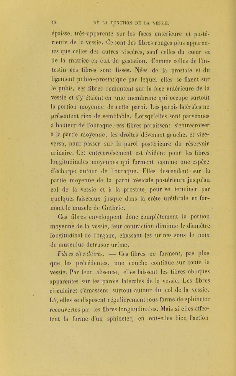 épaisse, très-apparente sur les faces antérieure ci posté- rieure de la vessie. Ce sont des fibres rouges plus apparen- tes que celles des autres viscères, sauf celles du cœur et de la matrice en état de gestation. Comme celles de l'in- testin ces fibres sont lisses. Nées de la prostate et du ligament pubio-prostatique par lequel elles se fixent sur le pubis, ces fibres remontent sur la face antérieure de la vessie et s'y étalent en une membrane qui occupe surtout la portion moyenne de cette paroi. Les parois latérales ne présentent rien de semblable. Lorsqu'elles sont parvenues à hauteur de l'ouraque, ces fibres paraissent s'entrecroiser à la partie moyenne, les droites dévenant gauches et vice- versa, pour passer sur la paroi postérieure du réservoir urinaire. Cet entrecroisement est évident pour les fibres longitudinales moyennes qui forment comme une espèce d'écbarpe autour de l'ouraque. Elles descendent sur la partie moyenne de la paroi vésicale postérieure jusqu'au col de la vessie et à la prostate, pour se terminer par quelques faisceaux jusque dans la crête uréthrale en for- mant le muscle de Guthrie. Ces fibres enveloppent donc complètement la portion moyenne de la vessie, leur contraction diminue le diamètre longitudinal de l'organe, chassant les urines sous le nom de musculus delrusor urinse. Fibres circulaires. — Ces fibres ne forment, pas plus que les précédentes, une couche continue sur toute la vessie. Par leur absence, elles laissent les fibres obliques apparentes sur les parois latérales de la vessie. Les fibres circulaires s'amassent surtout autour du col de la vessie. Là, elles se disposent régulièrement sous forme de sphincter recouvertes par les fibres longitudinales. Mais si elles affec- tent la forme d'un sphincter, en ont-elles bien l'action