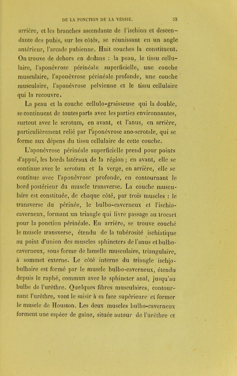 arrière, elles branches ascendante de l'ischion et descen- dante des pubis, sur les côtés, se réunissant en un angle antérieur, l'arcade pubienne. Huit couches la constituent. On trouve de dehors en dedans : la peau, le tissu cellu- laire, l'aponévrose périnéale superficielle, une couche musculaire, l'aponévrose périnéale profonde, une couche musculaire, l'aponévrose pelvienne et le tissu cellulaire qui la recouvre. La peau et la couche cellulo-graisseuse qui la double, se continuent de toutes parts avec les parties environnantes, surtout avec le scrotum, en avant, et l'anus, en arrière, particulièrement relié par l'aponévrose ano-scrotale, qui se forme aux dépens du tissu cellulaire de cette couche. L'aponévrose périnéale superficielle prend pour points d'appui, les bords latéraux de la région ; en avant, elle se continue avec le scrotum et la verge, en arrière, elle se continue avec l'aponévrose profonde, en contournant le bord postérieur du muscle transverse. La couche muscu- laire est constituée, de chaque côté, par trois muscles : le transverse du périnée, le bulbo-caverneux et l'ischio- caverneux, formant un triangle qui livre passage au trocart pour la ponction périnéale. En arrière, se trouve couché le muscle transverse, étendu de la tubérosité ischiatique au point d'union des muscles sphincters de l'anus et bulbo- caverneux, sous forme de lamelle musculaire, triangulaire, à sommet externe. Le côté interne du triangle ischio- bulbaire est formé par le muscle bulbo-caverneux, étendu depuis le raphé, commun avec le sphincter anal, jusqu'au bulbe de l'urèthre. Quelques fibres musculaires, contour- nant l'urêthre, vont le saisir à sa face supérieure et former le muscle de Houston. Les deux muscles bulbo-caverneux forment une espèce de gaine, située autour de l'urèthre et