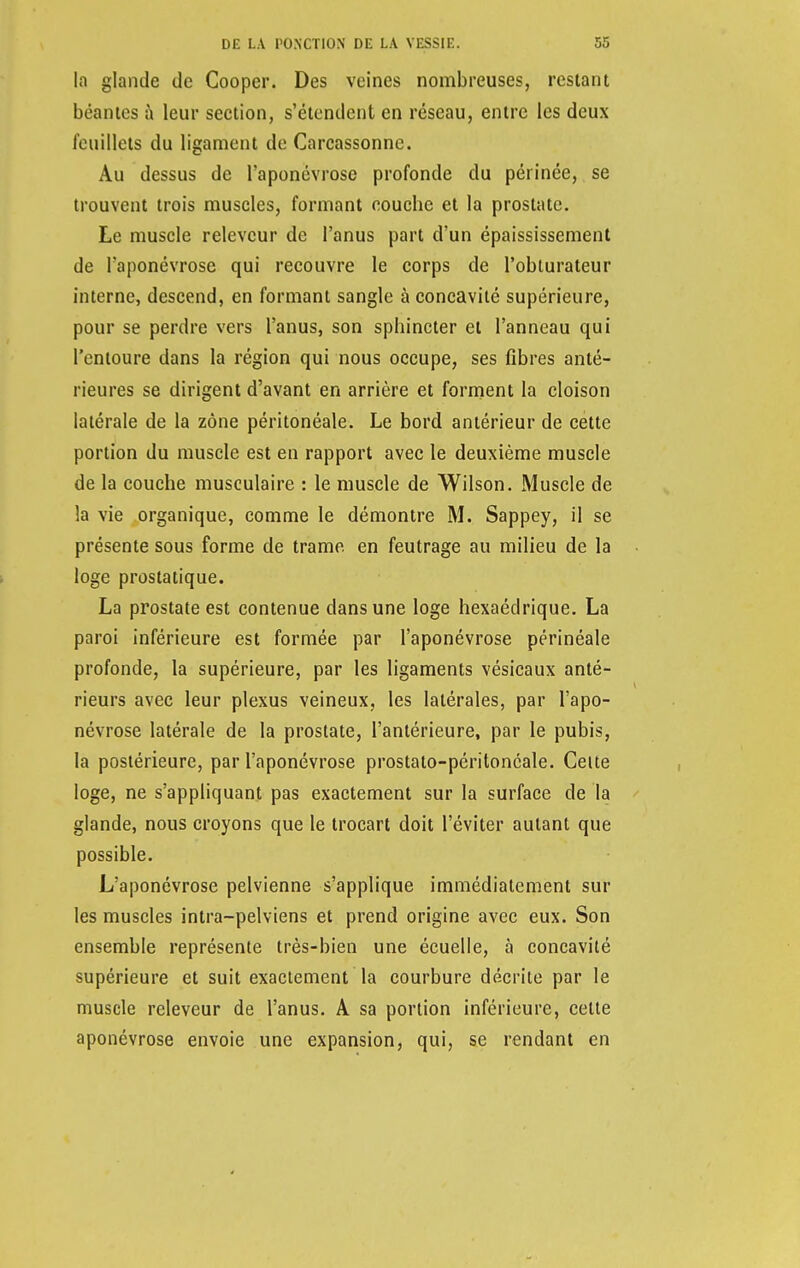 la glande de Cooper. Des veines nombreuses, restant béantes à leur section, s'étendent en réseau, entre les deux feuillets du ligament de Carcassonne. Au dessus de l'aponévrose profonde du périnée, se trouvent trois muscles, formant couche et la prostate. Le muscle releveur de l'anus part d'un épaississement de l'aponévrose qui recouvre le corps de l'obturateur interne, descend, en formant sangle à concavité supérieure, pour se perdre vers l'anus, son sphincter et l'anneau qui l'entoure dans la région qui nous occupe, ses fibres anté- rieures se dirigent d'avant en arrière et forment la cloison latérale de la zone péritonéale. Le bord antérieur de cette portion du muscle est en rapport avec le deuxième muscle de la couche musculaire : le muscle de Wilson. Muscle de la vie organique, comme le démontre M. Sappey, il se présente sous forme de trame, en feutrage au milieu de la loge prostatique. La prostate est contenue clans une loge hexaédrique. La paroi inférieure est formée par l'aponévrose périnéale profonde, la supérieure, par les ligaments vésicaux anté- rieurs avec leur plexus veineux, les latérales, par l'apo- névrose latérale de la prostate, l'antérieure, par le pubis, la postérieure, par l'aponévrose prostato-péritonéale. Celte loge, ne s'appliquant pas exactement sur la surface de la glande, nous croyons que le trocart doit l'éviter autant que possible. L'aponévrose pelvienne s'applique immédiatement sur les muscles intra-pelviens et prend origine avec eux. Son ensemble représente très-bien une écuelle, à concavité supérieure et suit exactement la courbure décrite par le muscle releveur de l'anus. A sa portion inférieure, celte aponévrose envoie une expansion, qui, se rendant en