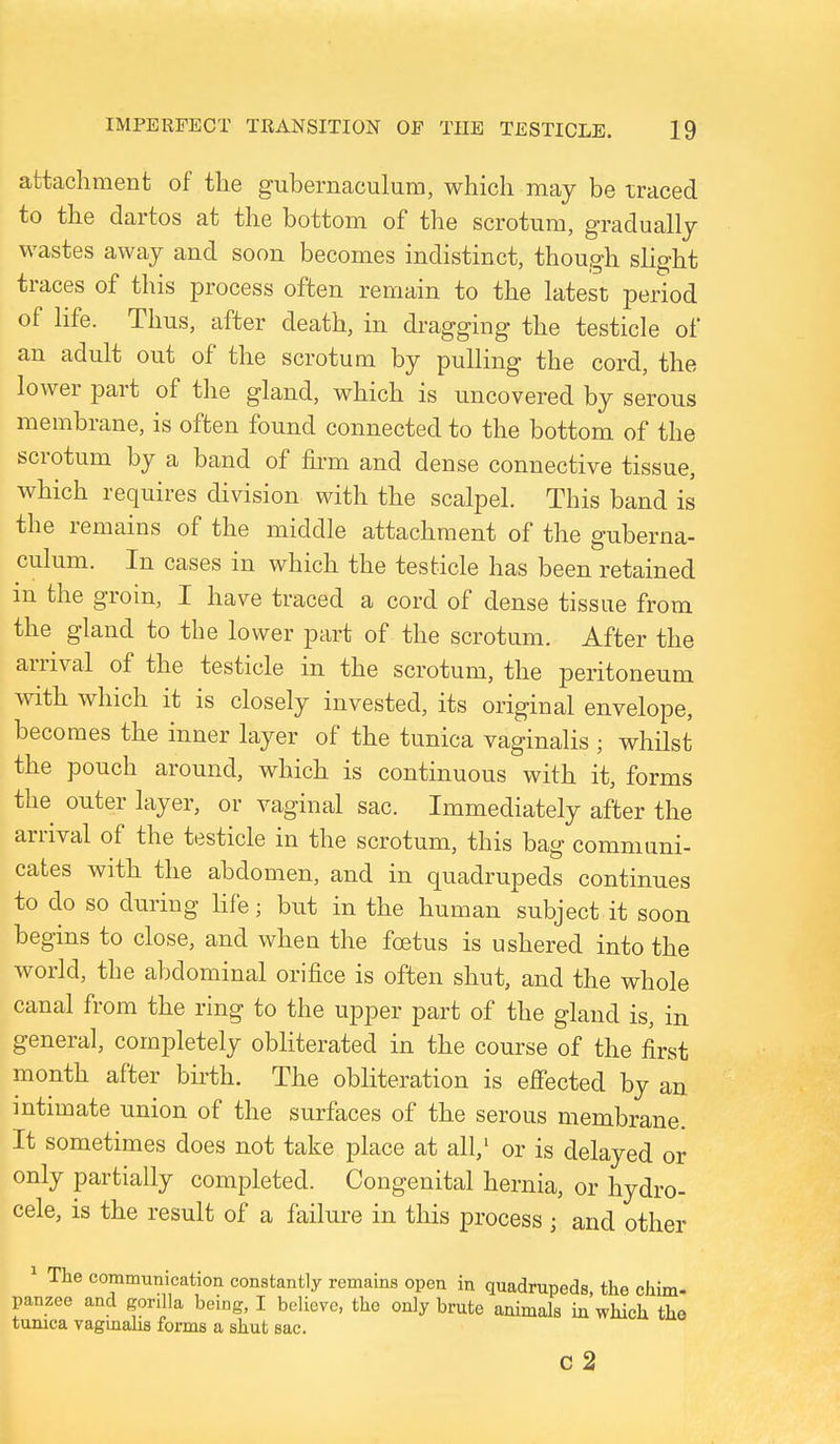 attachment of the gubernaculum, which may be traced to the dartos at the bottom of the scrotum, gradually wastes away and soon becomes indistinct, though slight traces of this process often remain to the latest period of life. Thus, after death, in dragging the testicle of an adult out of the scrotum by pulling the cord, the lower part of the gland, which is uncovered by serous membrane, is often found connected to the bottom of the scrotum by a band of firm and dense connective tissue, which requires division with the scalpel. This band is the remains of the middle attachment of the guberna- culum. In cases in which the testicle has been retained m the groin, I have traced a cord of dense tissue from the gland to the lower part of the scrotum. After the arrival of the testicle in the scrotum, the peritoneum with which it is closely invested, its original envelope, becomes the inner layer of the tunica vaginalis ; whilst the pouch around, which is continuous with it, forms the outer layer, or vaginal sac. Immediately after the arrival of the testicle in the scrotum, this bag communi- cates with the abdomen, and in quadrupeds continues to do so during Hfe; but in the human subject it soon begins to close, and when the fcetus is ushered into the world, the abdominal orifice is often shut, and the whole canal from the ring to the upper part of the gland is, in general, completely obliterated in the course of the first month after birth. The obliteration is efiected by an intimate union of the surfaces of the serous membrane. It sometimes does not take place at all,' or is delayed or only partially completed. Congenital hernia, or hydro- cele, is the result of a failure in this process ; and other ' The communication constantly remains open in quadrupeds, the chim- panzee and gorilla being, I believe, the only brute animals in which the tunica Tagmahs forms a shut sac. c 2