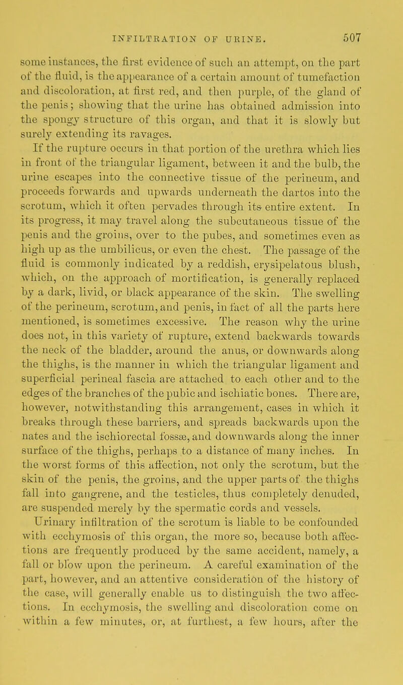 some instances, the first evidence of such an attempt, on the part of the fluid, is the appearance of a certain amount of tumefacl ion and discoloration, at first red, and then purple, of the gland of the penis; showing that the urine has obtained admission into the spongy structure of this organ, and that it is slowly but surely extending its ravages. If the rupture occurs in that portion of the urethra which lies in front of the triangular ligament, between it and the bulb, the urine escapes into the connective tissue of the perineum, and proceeds forwards and upwards underneath the dartos into the scrotum, which it often pervades through its entire extent. In its progress, it may travel along the subcutaneous tissue of the penis and the groins, over to the pubes, and sometimes even as high up as the umbilicus, or even the chest. The passage of the fluid is commonly indicated by a reddish, erysipelatous blush, which, on the approach of mortification, is generally replaced by a dark, livid, or black appearance of the skin. The swelling of the perineum, scrotum, and penis, in fact of all the parts here mentioned, is sometimes excessive. The reason why the urine does not, in this variety of rupture, extend backwards towards the neck of the bladder, ai'ound the anus, or downwards along the thighs, is the manner in which the triangular ligament and superficial perineal fascia are attached to each otber and to the edges of the brancbes of the pubic and ischiatic bones. There are, however, notwithstanding this arrangement, cases in which it breaks through these barriers, and spreads backwards upon the nates and the ischiorectal fossae, and downwards along the inner surface of the thighs, perhaps to a distance of many inches. In the worst forms of this affection, not only the scrotum, but the skin of the penis, the groins, and the upper parts of the thighs fall into gangrene, and the testicles, thus completely denuded, are suspended merely by the spermatic cords and vessels. Urinary infiltration of the scrotum is liable to be confounded with ecchymosis of this organ, the more so, because both affec- tipna are frequently produced by the same accident, namely, a fall or blow upon the perineum. A cai'eful examination of the part, however, and an attentive consideration of the history of the ease, will generally enable us to distinguish the two affec- tions. In ecchymosis, the swelling and discoloration come on within a few minutes, or, at furthest, a few hours, after the