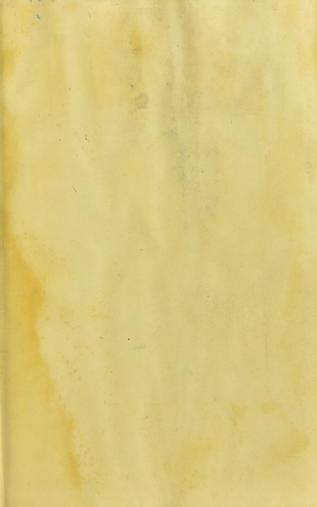 digitised image 3