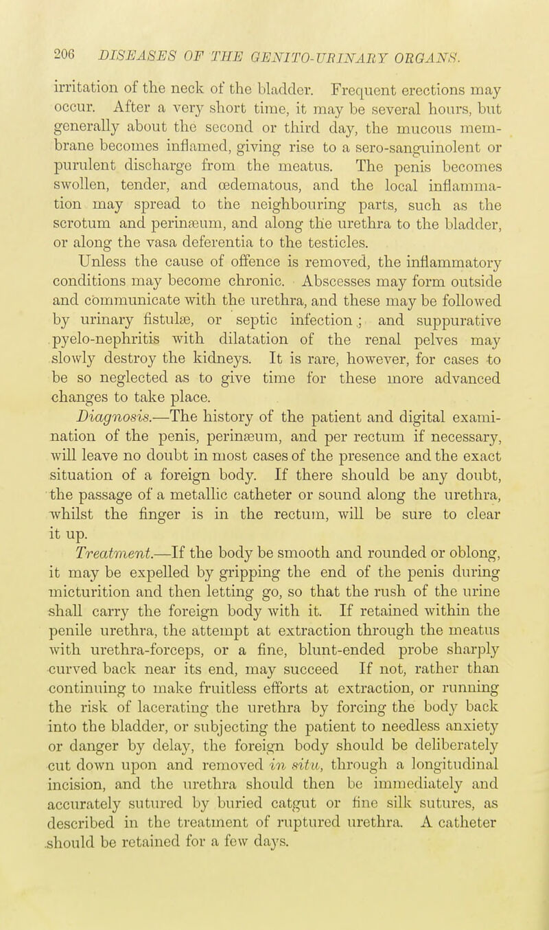 irritation of the neck of the bladder. Frequent erections may occur. After a very short time, it may be several hours, but generally about the second or third day, the mucous mem- brane becomes inflamed, giving rise to a sero-sanguinolent or purulent discharge from the meatus. The penis becomes swollen, tender, and oedematous, and the local inflamma- tion may spread to the neighbouring parts, such as the scrotum and perinaeum, and along the urethra to the bladder, or along the vasa deferentia to the testicles. Unless the cause of offence is removed, the inflammatory conditions may become chronic. Abscesses may form outside and communicate with the urethra, and these may be followed by urinary fistula?, or septic infection .; and suppurative pyelo-nephritis with dilatation of the renal pelves may slowly destroy the kidneys. It is rare, however, for cases -to be so neglected as to give time for these more advanced changes to take place. Diagnosis.—The history of the patient and digital exami- nation of the penis, perineum, and per rectum if necessary, will leave no doubt in most cases of the presence and the exact situation of a foreign body. If there should be any doubt, the passage of a metallic catheter or sound along the urethra, whilst the finger is in the rectum, will be sure to clear it up. Treatment.—If the body be smooth and rounded or oblong, it may be expelled by gripping the end of the penis during micturition and then letting go, so that the rush of the urine shall carry the foreign body with it. If retained within the penile urethi'a, the attempt at extraction through the meatus with urethra-forceps, or a fine, blunt-ended probe sharply curved back near its end, may succeed If not, rather than continuing to make fruitless efforts at extraction, or running the risk of lacerating the urethra by forcing the bod}' back into the bladder, or subjecting the patient to needless anxiety or danger by delay, the foreign body should be deliberately cut down upon and removed in situ, through a longitudinal incision, and the urethra should then be immediately and accurately sutured by buried catgut or fine silk sutures, as described in the treatment of ruptured urethra. A catheter .should be retained for a few days.