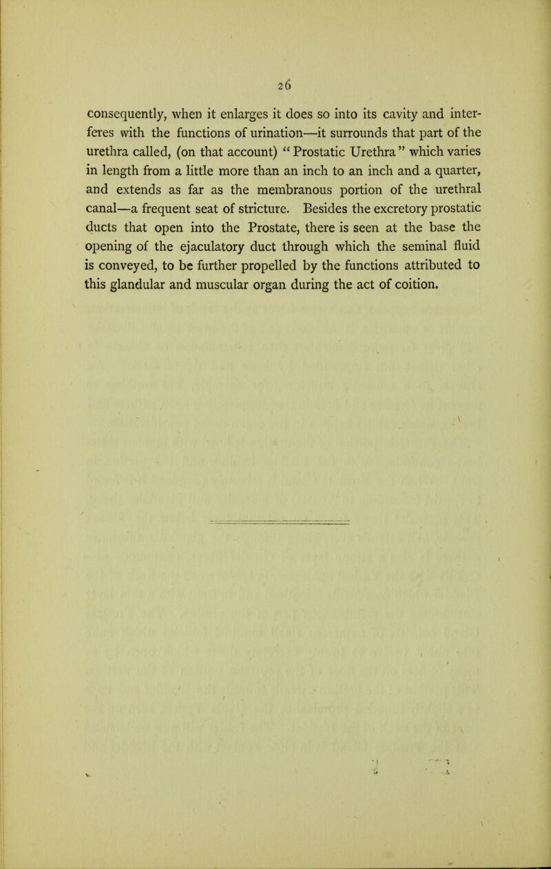 2 b consequently, when it enlarges it does so into its cavity and inter- feres with the functions of urination—it surrounds that part of the urethra called, (on that account)  Prostatic Urethra  which varies in length from a little more than an inch to an inch and a quarter, and extends as far as the membranous portion of the urethral canal—a frequent seat of stricture. Besides the excretory prostatic ducts that open into the Prostate, there is seen at the base the opening of the ejaculatory duct through which the seminal fluid is conveyed, to be further propelled by the functions attributed to this glandular and muscular organ during the act of coition. V