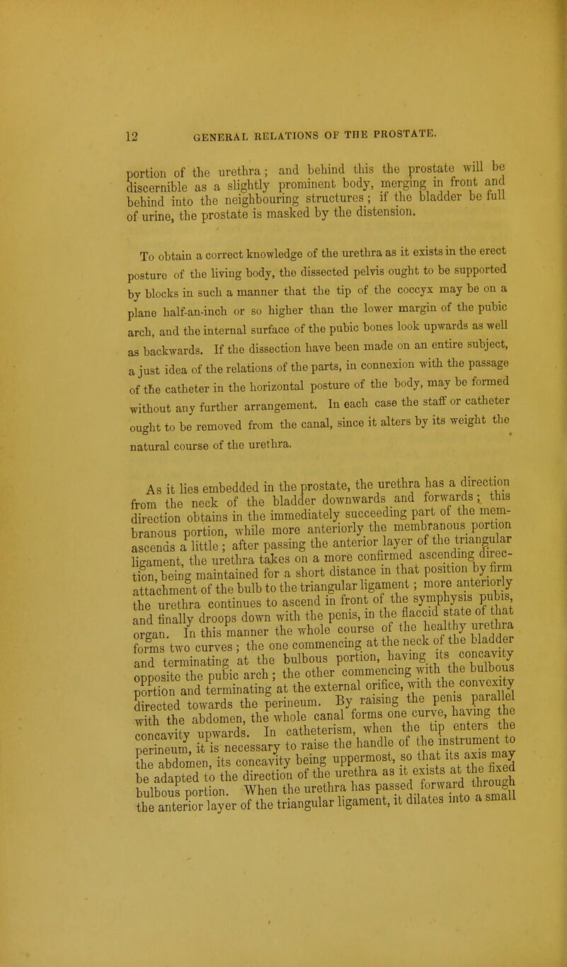 portion of the urethra; and behind this the prostate will be discernible as a slightly prominent body, merging m front and behind into the neighbouring structures; if the bladder be lull of urine, the prostate is masked by the distension. To obtain a correct knowledge of the urethra as it exists in the erect posture of the living body, the dissected pelvis ought to be supported by blocks in such a manner that the tip of the coccyx may be on a plane half-an-inch or so higher than the lower margin of the pubic arch, and the internal surface of the pubic bones look upwards as well as backwards. If the dissection have been made on an entire subject, a just idea of the relations of the parts, in connexion with the passage of the catheter in the horizontal posture of the body, may be formed without any further arrangement. In each case the staff or catheter ought to be removed from the canal, since it alters by its weight the natural course of the urethra. As it lies embedded in the prostate, the urethra has a direction from the neck of the bladder downwards and forwards- this direction obtains in the immediately succeeding part of the mem- branous portion, while more anteriorly the membranous_ portion ascends a little after passing the anterior layer of the triangular Hgament, the urethra takes on a more confirmed ascendmg direc- tion, being maintained for a short distance m that position by firm attachment of the bulb to the triangular ligament; more anterior y the urethra continues to ascend in front of the ^J^Jysis pubis and finally droops down with the penis, m the flaccid state of hat OTSan In this manner the whole course of the heal hy urethra forms'two curves ; the one commencing at the neck o the bladder and terminating 'at the bulbous portion, having its oBDOsito the pubic arch ; the other commencing with the bulbous Sn and terminating'at the external orifice, with the convexity Eed towards the perineum. By raising the penis parallel e abdomen, the^hole canal forms one curve, having h ooncavitv upwards. In catheterism, when the tip enters the Snenm, it^il necessary to raise the handle of mstrument to fhe abdomen, its concavity being uppermost, so tl^at its axis maj be adapted to the direction of the urethra as it exis^s at the fixed bulbous portion. When the urethra has Pf ^^J^ ^^^'^3 the anterior layer of the triangular ligament, it dilates into a small I