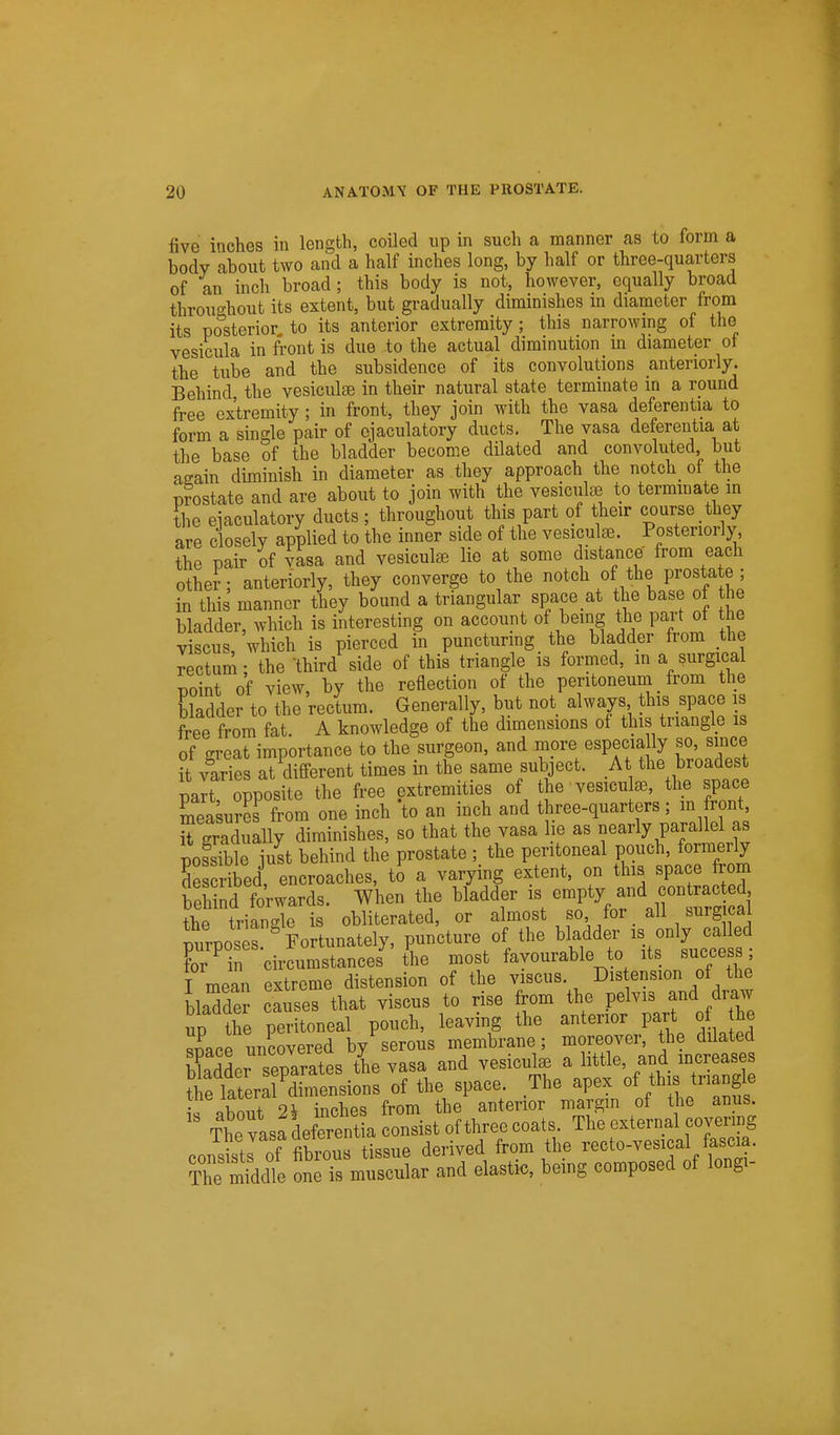 five inches in length, coiled up in such a manner as to form a body about two and a half inches long, by half or three-quarters of an inch broad; this body is not, however, equally broad throuc^hout its extent, but gradually diminishes m diameter from its po'sterior to its anterior extremity; this narrowmg of the vesicula in front is due to the actual diminution in diameter of the tube and the subsidence of its convolutions anteriorly. Behind, the vesiculse in their natural state terminate in a round free extremity ; in front, they join with the vasa deferentia to form a single pair of ojaculatory ducts. The vasa deferentia at the base of the bladder become dilated and convoluted but aeain diminish in diameter as they approach the notch_ of the prostate and are about to join with the vesiciite to termmate in tlic ejaculatory ducts; throughout this part of t.heir course they are closely applied to the inner side of the vesicula. Posteriorly the pair of vasa and vesicular lie at some distance from each other; anteriorly, they converge to the notch of the prostate ; in this manner they bound a triangular space at the base of the bladder, which is interesting on account of being the part of the viscus, which is pierced in puncturmg the bladder from the rectum ; the -third side of this triangle is formed, m a surgical point of view, by the reflection of the peritoneum _ from the bladder to the rectum. Generally, but not always this space is free from fat. A knowledge of the dimensions of this triangle is of great importance to the surgeon, and more especially so, since it varies at ^different times in the same subject. At the broadest part opposite the free extremities of the vesicu aj, the space STeasurS from one inch to an inch and three-quarters; in front rgradually diminishes, so that the vasa lie as nearly parallel as possfble dt behind the prostate ; the peritoneal pouch, formerly §e c'bed, encroaches, to a varying extent, on this space om behind forwards. When the bladder is empty and contracted the triangle is obliterated, or almost so for _ all surgical purpose'Fortunately, puncture of the ^er is only cal ed for in circumstances the most favourable to its t,uccess I mean extreme distension of the viscus. Distension of the bMder causes that viscus to rise from the pelvis and draw up the peritoneal pouch, leaving the anterior par o he JmPP uncovered by serous membrane; moreover, the dilated ELr separates the vasa and vesicular a little, and increases Te later7dimensions of the space. The apex of this tnangle I «hmit 2^ inches from the anterior margm of the anus. Thetsfdeferentia consist of three coats. The external covermg consSts of fibrous tissue derived from the recto-vesical fascua. S middle one is muscular and elastic, bemg composed of longi-