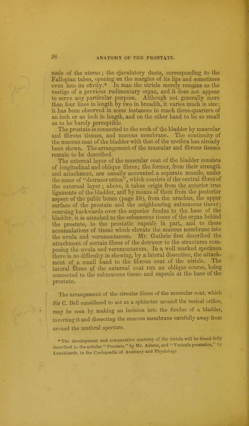 male of the uterus; the ejaculatory ducts, corresponding to the Fallopian tubes, opening on the margins of its lips and sometimes even into its cavity * In man the utricle merely remains as the vestige of a previous rudimentary organ, and it does not appear to serve any particular purpose. Although not generally more than four lines in length by two in breadth, it varies much in size; it has been observed in some instances to reach three-quarters of an inch or an inch in length, and on the other hand to be so small as to be barely perceptible. The prostate is connected to the neck of the bladder by muscular and fibrous tissues, and mucous membrane. The continuity of the mucous coat of the bladder with that of the urethra has already been shewn. The arrangement of the muscular and fibrous tissues remain to be described. The external layer of the muscular coat of the bladder consists of longitudinal and oblique fibres; the former, from their strength and attachment, are usually accounted a separate muscle, under the name of detrusor urinse, which consists of the central fibres of the external layer ; above, it takes origin from the anterior true ligaments of the bladder, and by means of them from the posterior aspect of the pubic bones (page 10), from the urachus, the upper surface of the prostate and the neighbouring submucous tissue; coursing backwards over the superior fundus to the base of the bladder, it is attached to the submucous tissue of the organ behind the prostate, to the prostatic capsule in part, and to those accumulations of tissue which elevate the mucous membrane into the uvula and verumontanum. Mr. Guthrie first described the attachment of certain fibres of the detrusor to the structures com- posing the uvula and verumontanum. In a well marked specimen there is no difficulty in shewing, by a lateral dissection, the attach- ment of a small band to the fibrous coat of the utricle. The lateral ^bres of the external coat run an oblique course, being connected to the submucous tissue and capsule at the base of the prostate. The arrangement of the circular fibres of the muscular coat, which Sir C. Bell C9nsidered to act as a sphincter around the vesical orifice, may be seen by making an incision into the fundus of a bladder, inverting it and dissecting the mucous membrane carefully away from around the urethral aperture. • The development and comparative anatomy of the utricle will be found fully described in the articles  Prostate, by Mr. Adams, and  Vesiculaprostatica, by Leuckhardt. in the Cyclopsedia of Anatomy and Physiology.