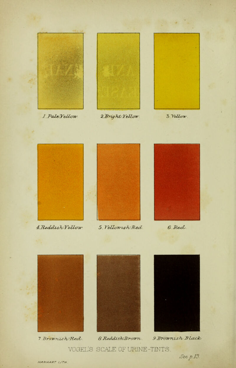 VOGELS SCALE OF URINE-TINTS. ,See. p.l3.