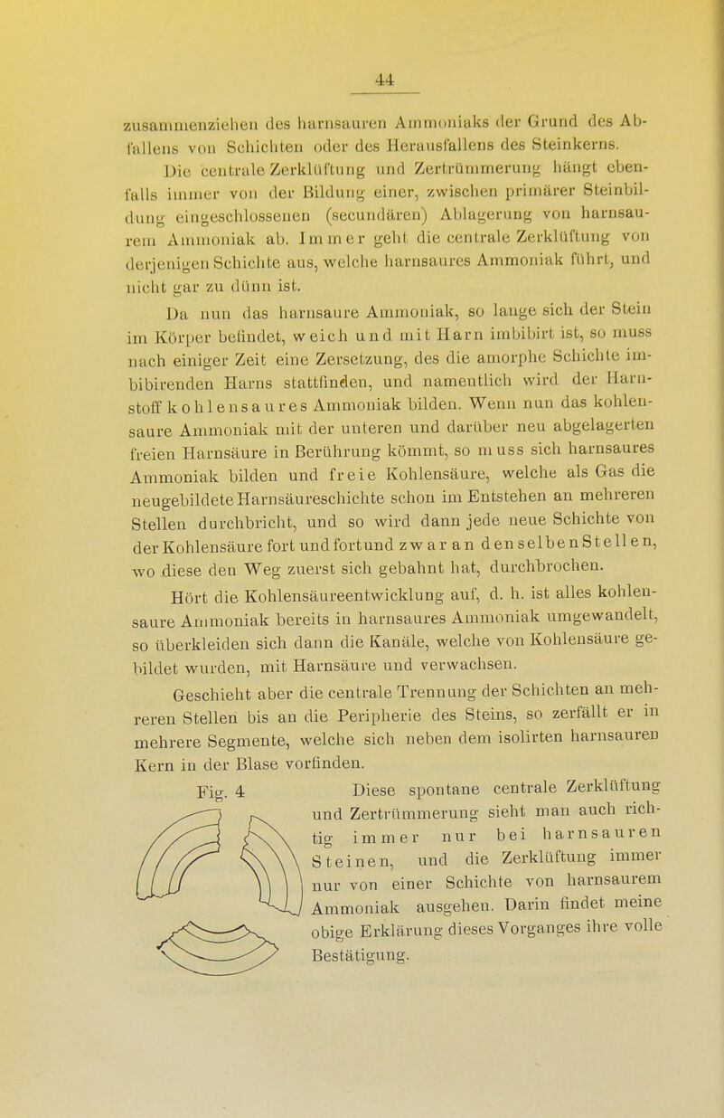 zusaninienziehen des harnsauren Ammoniaks der Grund des Ab- fallens VOM Schichten oder des Herausfallens des Steinkerns. Die centrale ZerklüCtung und Zertrümmerung hängt eben- falls immer von der Bildung einer, zwischen primärer Steinbil- duug eingeschlossenen (secundären) Ablagerung von harnsau- rem Ammoniak ab. Immer geht die centrale Zerklüftung von derjenigen Schichte aus, welche harnsaures Ammoniak führt, und nicht gar zu dünn ist. Da nun das harnsaure Ammoniak, so lauge sich der Stein im Körper beündet, weich und mit Harn imbibirt ist, so muss nach einiger Zeit eine Zersetzung, des die amorphe Schichte im- bibirenden Harns stattfmden, und namentlich wird der Harn- stoff kohlensaures Ammoniak bilden. Wenn nun das kohlen- saure Ammoniak mit der unteren und darüber neu abgelagerten freien Harnsäure in Berührung kömmt, so muss sich harnsaures Ammoniak bilden und freie Kohlensäure, welche als Gas die neugebildete Harnsäureschichte schon im Entstehen an mehreren Stellen durchbricht, und so wird dann jede neue Schichte von der Kohlensäure fort und fortund zwar an denselbenStellen, wo diese den Weg zuerst sich gebahnt hat, durchbrochen. Hört die Kohlensäureentwicklung auf, d. h. ist alles kohlen- saure Ammoniak bereits in harnsaures Ammoniak umgewandelt, so überkleiden sich dann die Kanäle, welche von Kohlensäure ge- bildet wurden, mit Harnsäure und verwachsen. Geschieht aber die centrale Trennung der Schichten an meh- reren Stellen bis an die Peripherie des Steins, so zerfällt er in mehrere Segmente, welche sich neben dem isolirten harnsaureu Kern in der Blase vorfinden. Fig. 4 Diese spontane centrale Zerklüftung und Zertrümmerung sieht man auch rich- tig immer nur bei harnsauren Steinen, und die Zerklüftung immer nur von einer Schichte von harnsaurem Ammoniak ausgehen. Darin findet meine ^<:^^:::^X^ obige Erklärung dieses Vorganges ihre volle X^^^-^ --^^ Bestätigung.