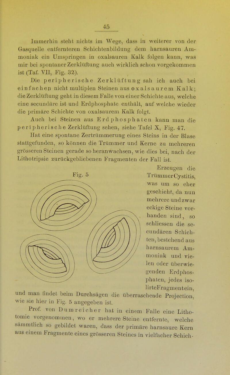 Immerhill steht nichts im Wege, dass in weiterer von der Gasquelle entfernteren Schichtenbildung dem harnsauren Am- moniak ein Umspringen in Oxalsäuren Kalk folgen kann, was mir bei s^iontaner Zerklüftung auch wirklich schon vorgekommen ist (Taf. VII, Fig. 32). Die peripherische Zerklüftung sah ich auch bei einfachen nicht multiplen S teinen aus o x a 1 s a u r e m Kalk; die Zerklüftung geht in diesem Falle von einer Schichte aus, welche eine secundäre ist und Erdphosphate enthält, auf welche wieder die primäre Schichte von oxalsaurem Kalk folgt. Auch bei Steinen aus Erdphosphaten kann man die peripherische Zerklüftung sehen, siehe Tafel X, Fig. 47. Hat eine spontane Zertrümmerung eines Steins in der Blase stattgefunden, so können die Trümmer und Kerne zu mehreren grösseren Steinen gerade so heranwachsen, wie dies bei, nach der Lithotripsie zurückgebliebenen Fragmenten der Fall ist. Erzeugen die Fig. 5 Trümmer Cjstitis, was um so eher geschieht, da nun mehrere und zwar ecldge Steine vor- handen sind, so schliessen die se- cundären Schich- ten, bestehend aus harnsaurem Am- moniak und vie- len oder überwie- genden Erdphos- phaten, jedes iso- lirteFragmentein, und man tindet beim Durchsägen die überraschende Projection, wie sie hier in Fig. 5 angegeben ist. Prof. von Dum reicher hat in einem Falle eine Litho- tomie vorgenommen, wo er mehrere Steine entfernte, welche säramtlich so gebildet waren, dass der primäre harnsaure Kern aus einem Fragmente eines grösseren Steines in vielfacher Schieb-