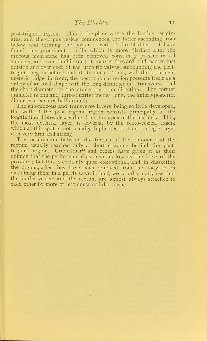 post-trigonal region. This is the place where the fundus termin- ates, and the corpus vesicae commences, the latter ascending from below, and forming the posterior wall of the bladder. I have found this prominent bundle which is more distinct after the mucous membrane has been removed constantly present in all subjects, and even in children ; it courses forward, and passes just outside and over each of the ureteric valves, surrounding the post- trigonal region behind and at its sides. Thus, with the prominent ureteric ridge in front, the post-trigonal region presents itself as a valley of an oval shape with the long diameter in a transverse, and the short diameter in the antero-posterior direction. The former diameter is one and three-quarter inches long, the antero-posterior diameter measures half an inch. The sub-mucous and transverse layers being so little developed, the wall of the post-trigonal region consists principally of the longitudinal fibres descending from the apex of the bladder. This, the most external layer, is covered by the recto-vesical fascia which at this spot is not usually duplicated, but as a single layer it is very firm and strong. The peritoneum between the fundus of the bladder and the rectum usually reaches only a short distance behind the post- trigonal region. Cruveilhier^^ and others have given it as their opinion that the peritoneum dips down as low as the base of the prostate; but this is certainly quite exceptional, and in dissecting the organs, after they have been removed from the body, or on examining them in a pelvis sawn in half, we can distinctly see that the fundus vesicae and the rectum are almost always attached to each other by more or less dense cellular tissue.