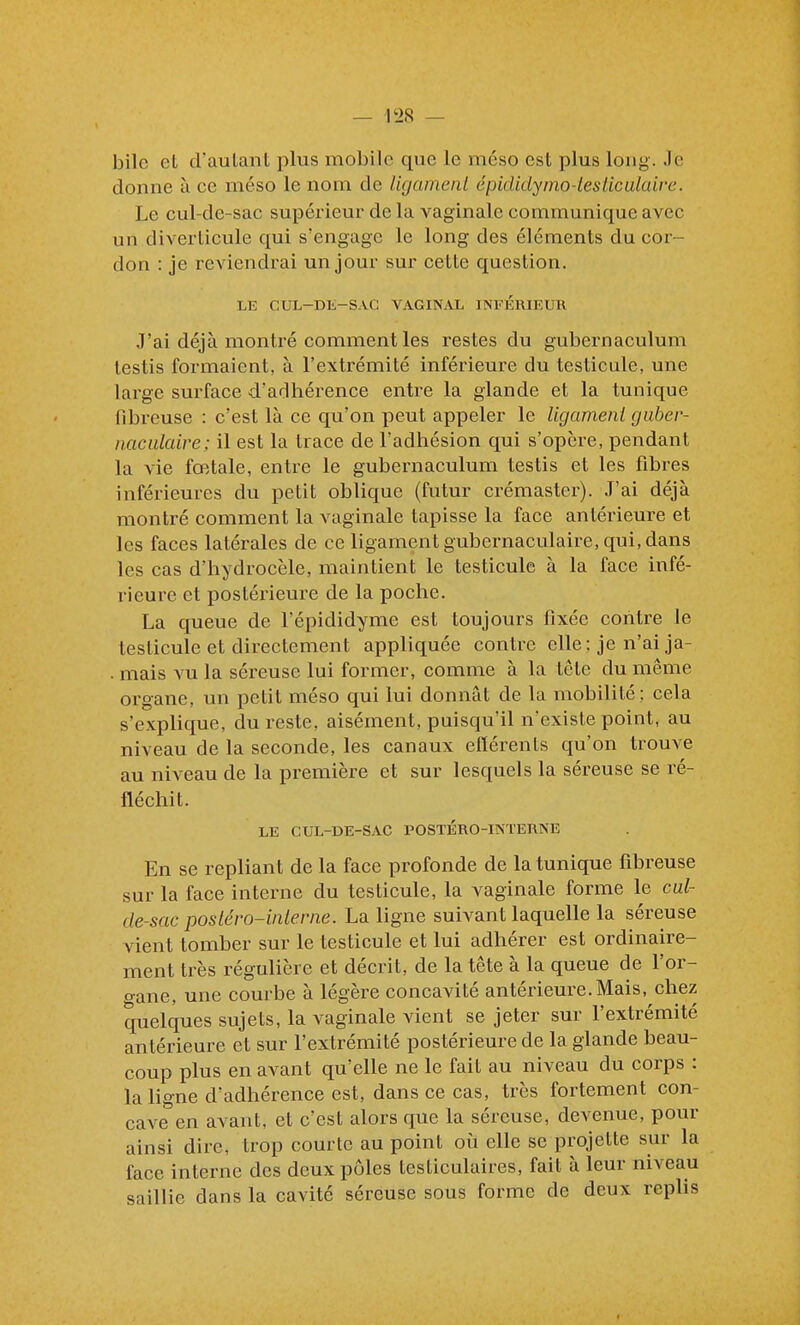 bile et d'autant plus mobile que le méso est plus long. Je donne à ce méso le nom de ligamenl épicUdy/no-tesUculaire. Le cul-de-sac supérieur de la vaginale communique avec un diverticule qui s'engage le long des éléments du cor- don : je reviendrai un jour sur cette question. LE CUL-Dli-SAC VAGINAL INFERIEUR J'ai déjà montré comment les restes du gubernaculum testis formaient, à l'extrémité inférieure du testicule, une large surface d'adhérence entre la glande et la tunique fibreuse : c'est là ce qu'on peut appeler le ligamenl guber- naciilaire; il est la trace de l'adhésion qui s'opère, pendant la vie fœtale, entre le gubernaculum testis et les fibres inférieures du petit oblique (futur crémaster). J'ai déjà montré comment la vaginale tapisse la face antérieure et les faces latérales de ce ligament gubernaculaire, qui, dans les cas d'hydrocèle, maintient le testicule à la face infé- rieure et postérieure de la poche. La queue de l'épididyme est toujours fixée contre le testicule et directement appliquée contre elle; je n'ai ja- . mais vu la séreuse lui former, comme à la tête du même organe, un petit méso qui lui donnât de la mobilité; cela s'explique, du reste, aisément, puisqu'il n'existe point, au niveau de la seconde, les canaux eftérents qu'on trouve au niveau de la première et sur lesquels la séreuse se ré- fléchit. LE CUL-DE-SAC POSTERO-INTERNE En se repliant de la face profonde de la tunique fibreuse sur la face interne du testicule, la vaginale forme le cul- cle-sac posléro-iiilerne. La ligne suivant laquelle la séreuse vient tomber sur le testicule et lui adhérer est ordinaire- ment très régulière et décrit, de la tête à la queue de l'or- o-ane, une courbe à légère concavité antérieure.Mais, chez quelques sujets, la vaginale vient se jeter sur l'extrémité antérieure et sur l'extrémité postérieure de la glande beau- coup plus en avant qu'elle ne le fait au niveau du corps : la ligne d'adhérence est, dans ce cas, très fortement con- cave en avant, et c'est alors que la séreuse, devenue, pour ainsi dire, trop courte au point oii elle se projette sur la face interne des deux pôles testiculaires, fait à leur niveau saillie dans la cavité séreuse sous forme de deux rephs