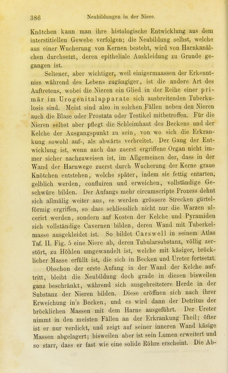 Knötchen kann man ihre histologische Entwicklung aus dem interstitiellen Gewebe verfolgen; die Neubildung selbst, welche aus einer Wucherung von Kernen besteht, wird von Harnkanäl- chen durchsetzt, deren epitheliale Auskleidung zu Grunde ge- gangen ist. Seltener, aber wichtiger, weil einigermaassen der Erkennt- niss während des Lebens zugängiger, ist die andere Art des Auftretens, wobei die Nieren ein Glied in der Reihe einer pri- mär im Urogenitalapparate sich ausbreitenden Tuberku- losis sind. Meist sind also in solchen Fällen neben den Nieren auch die Blase oder Prostata oder Testikel mitbetroffen. Für die Nieren selbst aber pflegt die Schleimhaut des Beckens und der Kelche der Ausgangspunkt zu sein, von wo sich die Erkran- kung sowohl auf-, als abwärts verbreitet. Der Gang der Ent- wicklung ist, wenn auch das zuerst ergriffene Organ nicht im- mer sicher nachzuweisen ist, im Allgemeinen der, dass in der Wand der Harnwege zuerst durch Wucherung der Kerne graue Knötchen entstehen, welche später, indem sie fettig entarten, gelblich werden, confluiren und erweichen, vollständige Ge- schwüre bilden. Der Anfangs mehr circumscripte Prozess dehnt sich allmälig weiter aus, es werden grössere Strecken gürtel- förmig ergriffen, so dass schliesslich nicht nur die Warzen ul- cerirt werden, sondern auf Kosten der Kelche und Pyramiden sich vollständige Cavernen bilden, deren Wand mit Tuberkel- masse ausgekleidet ist. So bildet Carswell in seinem Atlas Taf. II. Fig. 5 eine Niere ab, deren Tubularsubstanz, völlig zer- stört, zu Höhlen umgewandelt ist, welche mit käsiger, bröck- licher Masse erfüllt ist, die sich in Becken und Ureter fortsetzt. Obschon der erste Anfang in der Wand der Kelche auf- tritt, bleibt die Neubildung doch grade in diesen bisweilen ganz beschränkt, während sich ausgebreitetere Herde in der Substanz der Nieren bilden. Diese eröffnen sich nach ihrer Erweichung in's Becken, und es wird dann der Detritus der bröcklichen Massen mit dem Harne ausgeführt. Der Ureter nimmt in den meisten Fällen an der Erkrankung Theil; öfter ist er nur verdickt, und zeigt auf seiner inneren Wand käsige Massen abgelagert; bisweilen aber ist sein Lumen erweitert und so starr, dass er fast wie eine solide Röhre erscheint. Die Ab-