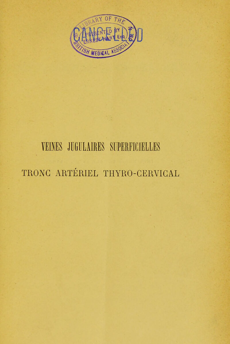 VEINES JUGULAIRES SUPERFICIELLES TRONC ARTÉRIEL THYRO-GERVIGAL