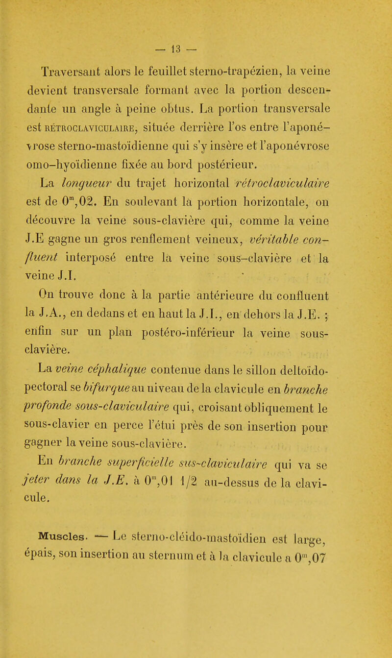 Traversant alors le feuillet sterno-trapézien, la veine devient transversale formant avec la portion descend dante nn angle à peine obtus. La portion transversale est RÉTROGLÀViGDLAiRE, située derrière l'os entre l'aponé- vrose sterno-mastoïdienne qui s'y insère et l'aponévrose omo-hyoïdienne fixée au bord postérieur. La longueur du trajet horizontal rétroclaviculaire est de 0m,02. En soulevant la portion horizontale, on découvre la veine sous-clavière qui, comme la veine J.E gagne un gros renflement veineux, véritable con- fluent interposé entre la veine sous-clavière et la veine J.I. On trouve donc à la partie antérieure du confluent la J.A., en dedans et en haut la J.I., en dehors la J.E. ; enfin sur un plan postéro-inférieur la veine sous- clavière. La veine céphalique contenue dans le sillon deltoïdo- pectoral se bifurque au uiveau de la clavicule en branche profonde sous-claviculaire qui, croisant obliquement le sous-clavier en perce l'étui près de son insertion pour gagner la veine sous-clavière. En branche superficielle sus~claviculaire qui va se jeter dans la J.E. à 0m,0 l 1/2 au-dessus de la clavi- cule. Muscles. — Le sterno-cléido-inastoïdien est large, épais, son insertion au sternum et à la clavicule a 0m,07