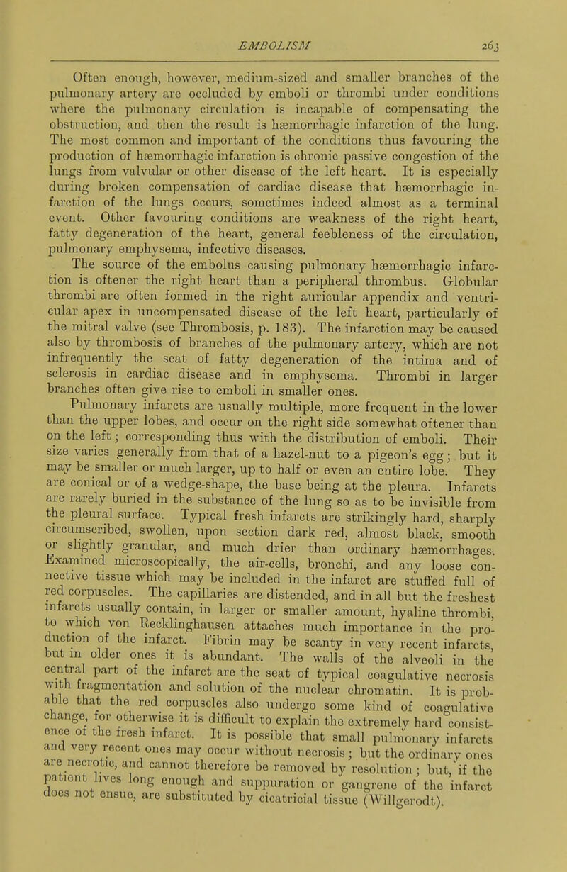 Often enough, however, medium-sized and smaller branches of the pulmonary artery are occluded by emboli or thrombi under conditions where the pulmonary circulation is incapable of compensating the obstruction, and then the result is hsemorrhagic infarction of the lung. The most common and important of the conditions thus favouring the production of hasmorrhagic infarction is chronic passive congestion of the lungs from valvular or other disease of the left heart. It is especially during bi'oken compensation of cardiac disease that hsemorrhagic in- farction of the lungs occurs, sometimes indeed almost as a terminal event. Other favouring conditions are weakness of the right heart, fatty degeneration of the heart, general feebleness of the circulation, pulmonary emphysema, infective diseases. The source of the embolus causing pulmonary hsemorrhagic infarc- tion is oftener the right heart than a peripheral thrombus. Globular thrombi are often formed in the right auricular appendix and ventri- cular apex in uncompensated disease of the left heart, particularly of the mitral valve (see Thrombosis, p. 183). The infarction may be caused also by thrombosis of branches of the pulmonary artery, which are not infrequently the seat of fatty degeneration of the intima and of sclerosis in cardiac disease and in emphysema. Thrombi in larger branches often give rise to emboli in smaller ones. Pulmonary infarcts are usually multiple, more frequent in the lower than the upper lobes, and occur on the right side somewhat oftener than on the left; corresponding thus with the distribution of emboli. Their size varies generally from that of a hazel-nut to a pigeon's egg; but it may be smaller or much larger, up to half or even an entire lobe. They are conical or of a wedge-shape, the base being at the pleura. Infarcts are rarely buried in the substance of the lung so as to be invisible from the pleural surface. Typical fresh infarcts are strikingly hard, sharply circumscribed, swollen, upon section dark red, almost black, smooth or slightly granular, and much drier than ordinary hsemorrhages. Examined microscopically, the air-cells, bronchi, and any loose con- nective tissue which may be included in the infarct are stuffed full of red corpuscles. The capillaries are distended, and in all but the freshest infarcts usually contain, in larger or smaller amount, hyaline thrombi, to which von Recklinghausen attaches much importance in the pro- duction of the infarct. Fibrin may be scanty in very recent infarcts but in older ones it is abundant. The walls of the alveoli in the central part of the infarct are the seat of typical coagulative necrosis with fragmentation and solution of the nuclear chromatin. It is prob- able that the red corpuscles also undergo some kind of coagulative change for otherwise it is difficult to explain the extremely hard consist- ence of the fresh infarct. It is possible that small pulmonary infarcts and very recent ones may occur without necrosis; but the ordinary ones are necrotic, and cannot therefore be removed by resolution; but, if the patient lives long enough and suppuration or gangrene of the infarct does not ensue, are substituted by cicatricial tissue (Willgerodt)
