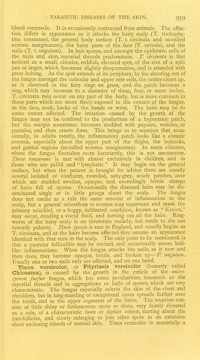 blood corpuscle. It is occasionally contracted from animals. The affec- tion differs in appearance as it attacks the hairy scalp (T. trichophy- tina tonsurans), the general body surface (T. t. circinata and so-called eczema marginatum), the hairy parts of the face (T. sycosis), and the nails (T. t. unguium). In hair spores, and amongst the epidermic cells of the nails and skin, mycelial threads predominate. T. circinata is first noticed as a small, circular, reddish, elevated spot, of the size of a split pea or larger, which becomes slightly desquamative, and is attended with great itching. As the spot extends at its periphery, by the shooting out of the fungus amongst the cuticular and upper rete cells, the centre clears up, as is observed in the fairy rings on grass, and the patch becomes a ring, which may increase to a diameter of three, four, or more inches. T. circinata may occur on any part of the body, but is more common in those parts which are more freely exposed to the contact of the fungus, as the face, neck, backs of the hands or wrist. The hairs may be to some extent affected. The irritation caused by the growth of the fungus may not be confined to the production of a liypersemic patch, but the margin sometimes becomes studded with papules, vesicles, or pustules, and then crusts form. This brings us to mention that occa- sionally, in adults mostly, the inflammatory patch looks like a chronic eczema, especially about the upper part of the thighs, the buttocks, and genital regions (so-called eczema marginatum). In warm climates, where the fungus flourishes more luxuriantly, this is not uncommon. Tinea tonstirans is met with almost exclusively in children, and in those who are pallid and  lymphatic. It may begin on the general surface, but when the patient is brought for advice there are usually several isolated or confluent, rounded, ashy-grey, scurfy patches, over which are studded swollen, opaque, and exceedingly britde stumps of hairs full of spores. Occasionally the diseased hairs may be dis- seminated singly or in little groups about the scalp. The fungus does not excite as a rule the same amount of inflammation in the scalp, but a general seborrhoea or eczema may supervene and mask the primary mischief, or a boggy, infiltrated condition, known as Kerion, may occur, exuding a viscid fluid, and turning out all the hairs. Ring- worm of the hairy scalp is an inveterate malady, but tends to die out towards puberty. Tiiiea sycosis is rare in England, and usually begins as T. circinata, and as the hairs become affected they assume an appearance identical with that seen in the scalp. The only point to be mentioned is that a pustular folliculitis may be excited, and occasionally severe boil- like inflammations. When the fungus attacks the nails, as it now and then does, they become opaque, brittle, and broken up—T. ungiiiuvi. Usually one or two nails only are affected, and on one hand. Tinea versicolor, or Pityriasis versicolor (formerly called Chloasma), is caused by the growth in the cuticle of the micro- sporon furfur fungus, which has some peculiarities, inasmuch as the mycelial threads end in aggregations or balls of spores, which are very characteristic. The fungus especially selects the skin of the chest and shoulders, but in long-standing or exceptional cases spreads further over the trunk, and to the upper segments of the limbs. The eruption con- sists of little shiny or furfuraceous spots or discs, very faintly elevated as a rule, of a characteristic fawn or darker colour, starting about the hair-follicles, and slowly enlarging to join other spots in an extensive sheet enclosing islands of normal skin. Tinea versicolor is essentially a