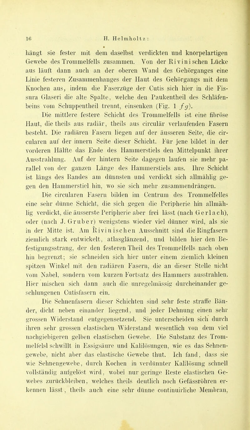 hängt sie fester mit dem daselbst verdickten und knorpelartigen Gewebe des Trommelfells zusammen. Von der Rivin i sehen Lücke aus läuft dann auch an der oberen Wand des Gehörganges eine Linie festeren Zusammenhanges der Haut des Gehörgangs mit dem Knochen aus, indem die Faserzüge der Cutis sich hier in die Fis- sura Glaseri die alte Spalte, welche den Paukentheil des Schläfen- beins vom Schuppentheil trennt, einsenken (Fig. 1 fg). Die mittlere festere Schicht des Trommelfells ist eine fibröse Haut, die theils aus radiär, theils aus circulär verlaufenden Fasern besteht. Die radiären Fasern liegen auf der äusseren Seite, die cir- cularen auf der innern Seite dieser Schicht. Für jene bildet in der vorderen Hälfte das Ende des Hammerstiels den Mittelpunkt ihrer Ausstrahlung. Auf der hintern Seite dagegen laufen sie mehr pa- rallel von der ganzen Länge des Hammerstiels aus. Ihre Schicht ist längs des Bandes am dünnsten und verdickt sich allmählig ge- gen den Hammerstiel hin, wo sie sich mehr zusammendrängen. Die circularen Fasern bilden im Centrum des Trommelfelles eine sehr dünne Schicht, die sich gegen die Peripherie hin allmäh- lig verdickt, die äusserste Peripherie aber frei lässt (nach Gerlach), oder (nach J. Grube r) wenigstens wieder viel dünner wird, als sie in der Mitte ist. Am Rivinischen Ausschnitt sind die Ringfasern ziemlich stark entwickelt, atlasglänzend, und bilden hier den Be- festigungsstrang, der den festeren Theil des Trommelfells nach oben hin begrenzt; sie schneiden sich hier unter einem ziemlich kleinen spitzen Winkel mit den radiären Fasern, die an dieser Stelle nicht vom Nabel, sondern vom kurzen Fortsatz des Hammers ausstrahlen. Hier mischen sich dann auch die unregelmässig durcheinander ge- schlungenen Cutisfaseru ein. Die Sehnenfasern dieser Schichten sind sehr feste straffe Bän- der, dicht neben einander liegend, und jeder Dehnung einen sehr grossen Widerstand entgegensetzend. Sie unterscheiden sich durch ihren sehr grossen elastischen Widerstand wesentlich von dem viel nachgiebigeren gelben elastischen Gewebe. Die Substanz des Trom- melfelsl schwillt in Essigsäure und Kalilösungen, wie es das Sehnen- gewebe, nicht aber das elastische Gewebe thut. Ich fand, dass sie wie Sehnengewebe, durch Kochen in verdünnter Kalilösung schnell vollständig aufgelöst wird, wobei nur geringe Reste elastischen Ge- webes zurückbleiben, welches theils deutlich noch Gefässröhren er- kennen lässt, theils auch eine sehr dünne continuirliche Membran,