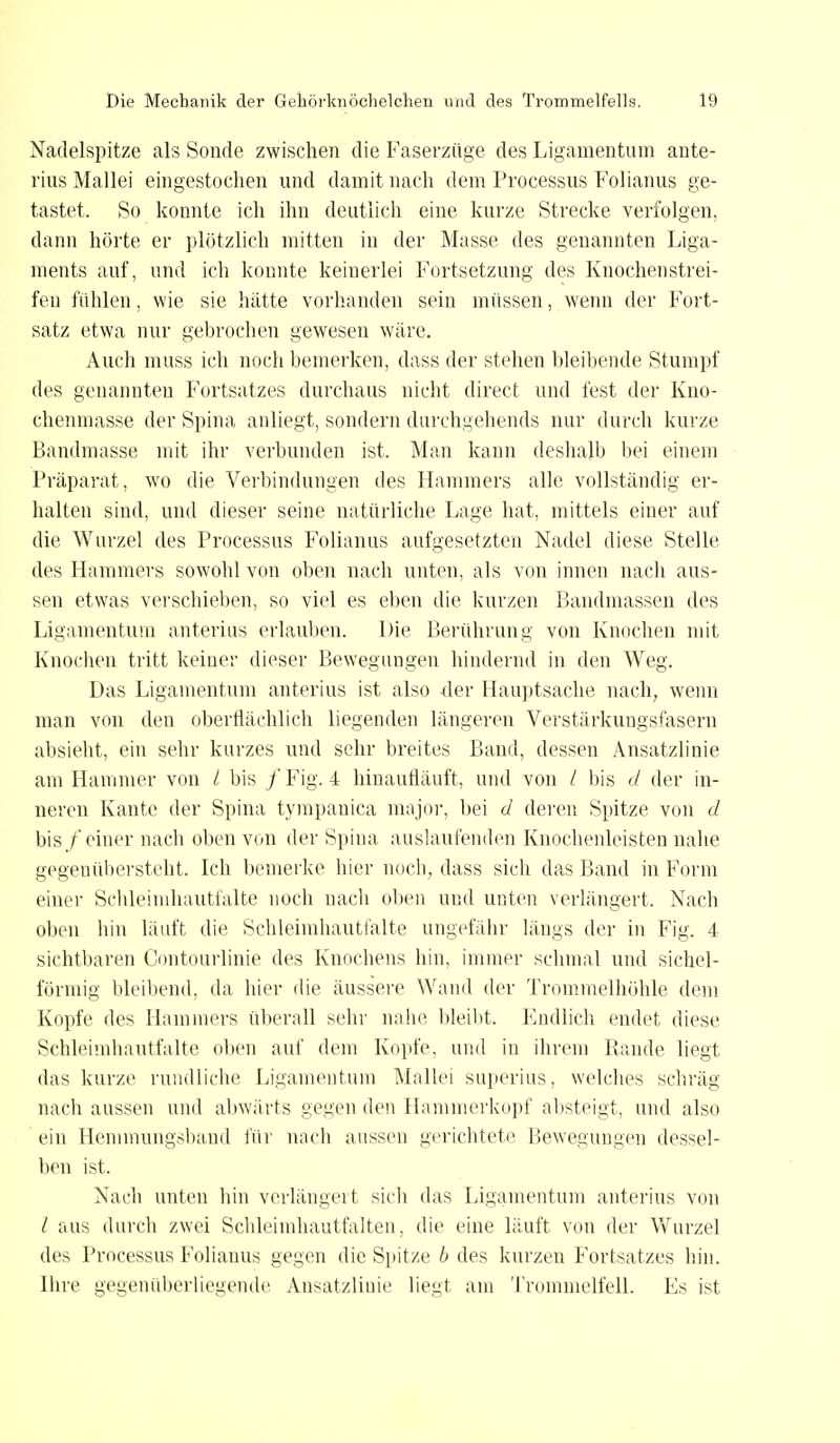 Nadelspitze als Sonde zwischen die Faserzüge des Ligamentum ante- rius Mallei eingestochen und damit nach dem Processus Folianus ge- tastet. So konnte ich ihn deutlich eine kurze Strecke verfolgen, dann hörte er plötzlich mitten in der Masse des genannten Liga- ments auf, und ich konnte keinerlei Fortsetzung des Knochenstrei- feu fühlen, wie sie hätte vorhanden sein müssen, wenn der Fort- satz etwa nur gebrochen gewesen wäre. Auch muss ich noch bemerken, dass der stehen bleibende Stumpf des genannten Fortsatzes durchaus nicht direct und fest der Kno- chenmasse der Spina anliegt, sondern durchgehends nur durch kurze Bandmasse mit ihr verbunden ist. Man kann deshalb bei einem Präparat, wo die Verbindungen des Hammers alle vollständig er- halten sind, und dieser seine natürliche Lage hat, mittels einer auf die Wurzel des Processus Folianus aufgesetzten Nadel diese Stelle des Hammers sowohl von oben nach unten, als von innen nach aus- sen etwas verschieben, so viel es eben die kurzen Bandmassen des Ligamentum anterius erlauben. Die Berührung von Knochen mit Knochen tritt keiner dieser Bewegungen hindernd in den Weg. Das Ligamentum anterius ist also 4er Hauptsache nach, wenn man von den oberflächlich liegenden längeren Verstärkungsfasern absieht, ein sehr kurzes und sehr breites Band, dessen Ansatzlinie am Hammer von / bis / Fig. 4 hinaufläuft, und von / bis d der in- neren Kante der Spina tympanica major, bei d deren Spitze von d bis/einer nach oben von der Spina auslaufenden Knochenleisten nahe gegenübersteht. Ich bemerke hier noch, dass sich das Band in Form einer Schleimhautfalte noch nach oben und unten verlängert. Nach oben hin läuft die Schleimhautfalte ungefähr längs der in Fig. 4 sichtbaren Contourlinie des Knochens hin, immer schmal und sichel- förmig bleibend, da hier die äussere Wand der Trommelhöhle dem Kopfe des Hammers überall sehr nahe bleibt. Endlich endet diese Schleimhautfalte oben auf dem Kopfe, und in ihrem Rande liegt das kurze rundliche Ligamentum Mallei superius, welches schräg nach aussen und abwärts gegen den Hammerkopf absteigt, und also ein Hemmungsband für nach aussen gerichtete Bewegungen dessel- ben ist. Nach unten hin verlanget t sich das Ligamentum anterius von l aus durch zwei Schleimhautfalten, die eine läuft von der Wurzel des Processus Folianus gegen die Spitze b des kurzen Fortsatzes hin. Ihre gegenüberliegende Ansatzlinie liegt am Trommelfell. Ks ist