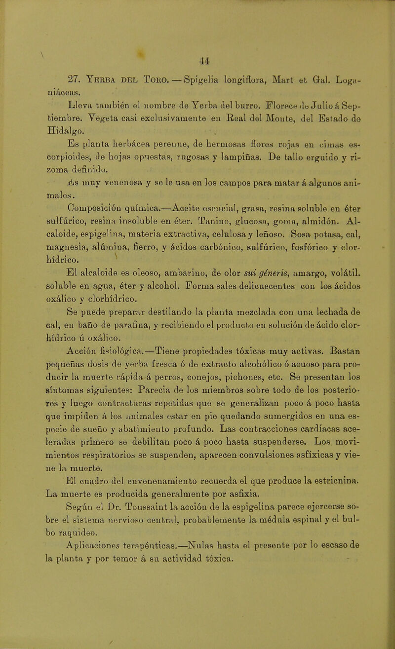 27. Yerba del Tobo. — Sp5gelia longiflora, Mart et Gal. Loga- uiáceas. Lleva también el nombre de Yerba del burro. Florece de Julio á Sep- tiembre. Vegeta casi exclusivamente en Real del Monte, del Estado do Hidalgo. Es planta herbácea perenne, de hermosas flores rojas en cimas es- corpioides, de hojas opuestas, rugosas y lampiñas. De tallo erguido y ri- zoma definido. Ais muy venenosa y se le usa en los campos para matar á algunos ani- males. Composición química.—Aceite esencial, grasa, resina soluble en éter sulfúrico, resina insoluble en éter. Tanino, glucosa, goma, almidón. Al- caloide, espigelina, materia extractiva, celulosa y leñoso. Sosa potasa, cal, magnesia, alúmina, fierro, y ácidos carbónico, sulfúrico, fosfórico y clor- hídrico. El alcaloide es oleoso, ambarino, de olor sui géneris, timargo, volátil, soluble en agua, éter y alcohol. Forma sales delicuecentes con los ácidos oxálico y clorhídrico. Se puede preparar destilando la planta mezclada con una lechada de cal, en baño de parafina, y recibiendo el producto en solución de ácido clor- hídrico ú oxálico. Acción fisiológica.—Tiene propiedades tóxicas muy activas. Bastan pequeñas dosis de yerba, fresca ó de extracto alcohólico ó acuoso para pro- ducir la muerte rápida á perros, conejos, pichones, etc. Se presentan los síntomas siguientes: Parecía de los miembros sobre todo de los posterio- res y luego contracturas repetidas que se generalizan poco á poco hasta que impiden á los animales estar en pie quedando sumergidos en una es- pecie de sueño y abatimiento profundo. Las contracciones cardíacas ace- leradas primero se debilitan poco á poco hasta suspenderse. Los movi- mientos respiratorios se suspenden, aparecen convulsiones asfíxicas y vie- ne la muerte. El cuadro del envenenamiento recuerda el que produce la estricnina. La muerte es producida generalmente por asfixia. Según el Dr. Toussaint la acción de la espigelina parece ejercerse so- bre el sistema nervioso central, probablemente la médula espinal y el bul- bo raquideo. Aplicaciones terapéuticas.—Nulas hasta el presente por lo escaso de la planta y por temor á su actividad tóxica. ✓