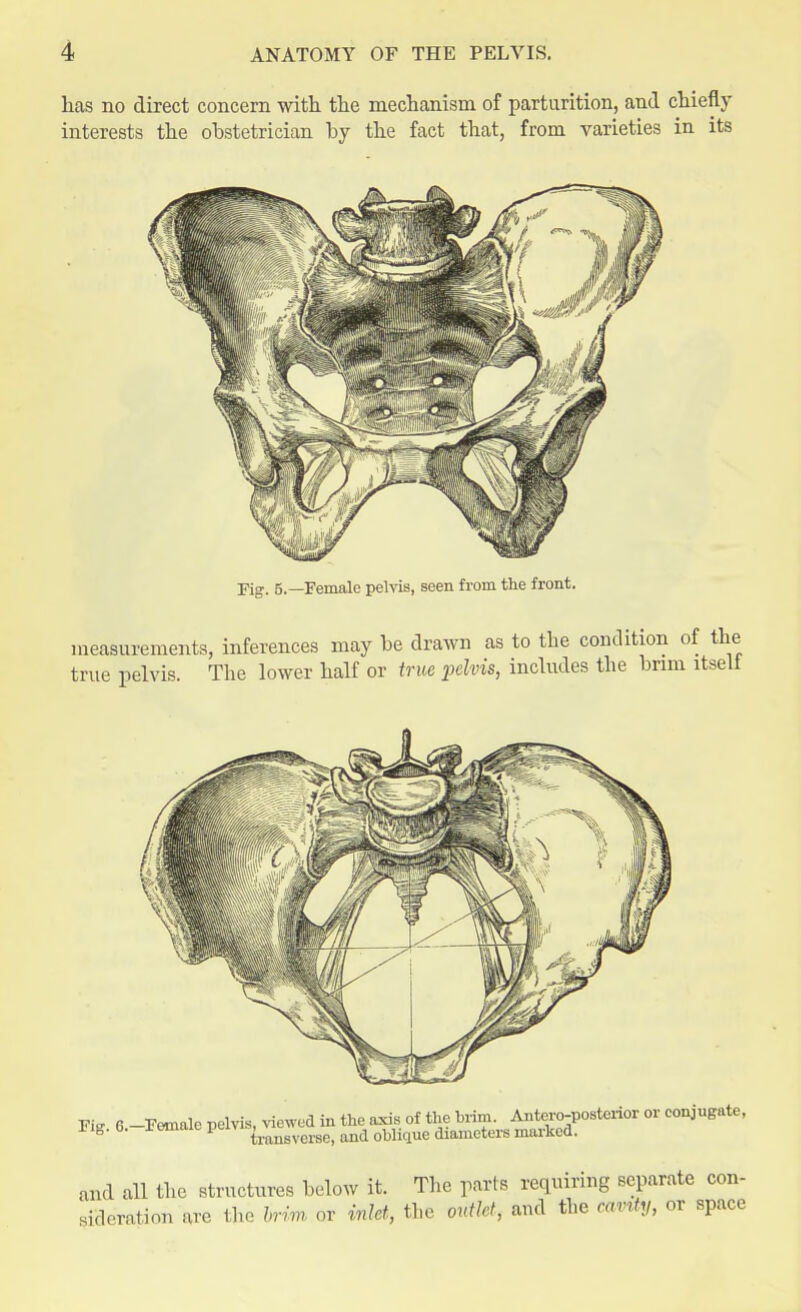 has no direct concern with the mechanism of parturition, and chiefly interests the obstetrician by the fact that, from varieties in its Fig. 5.—Female pelvis, seen from the front. measurements, inferences may be drawn as to the condition c true pelvis. The lower half or true pelvis, includes the brim Fte 6 -Female pelvis, viewed in the axis of the trim. Anteroposterior or conjugate, Fig. 6. 1 emaie Pelvl^nsversej and oUi<ine diameters marked. and all the structures below it. The parts requiring separate con- si.Wnlion are the brim or inlet, the outlet, and the nmty, or space