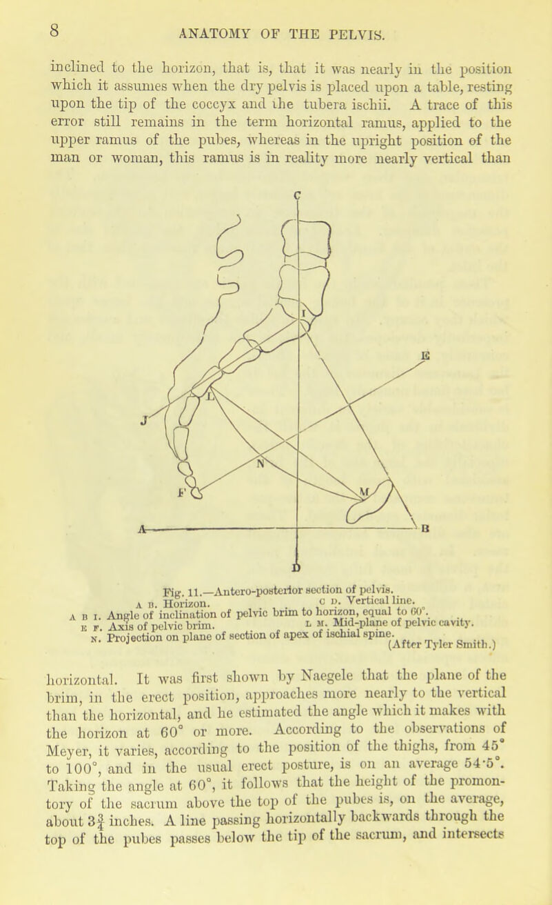 inclined to the horizon, that is, that it was nearly in the position which it assumes when the dry pelvis is placed upon a table, resting upon the tip of the coccyx and ihe tubera ischii. A trace of this error still remains in the term horizontal ramus, applied to the upper ramus of the pubes, whereas in the upright position of the man or woman, this ramus is in reality more nearly vertical than horizontal. It was first shown by Naegele that the plane of the brim, in the erect position, approaches more nearly to the vertical than'the horizontal, and he estimated the angle which it makes with the horizon at 60° or more. According to the observations of Meyer, it varies, according to the position of the thighs, from 45° to 100°, and in the usual erect posture, is on an average 54-5°. Taking the angle at 60°, it follows that the height of the promon- tory of the sacrum above the top of the pubes is, on the average, about 3f inches. A line passing horizontally backwards through the top of the pubes passes below the tip of the sacrum, and intersects