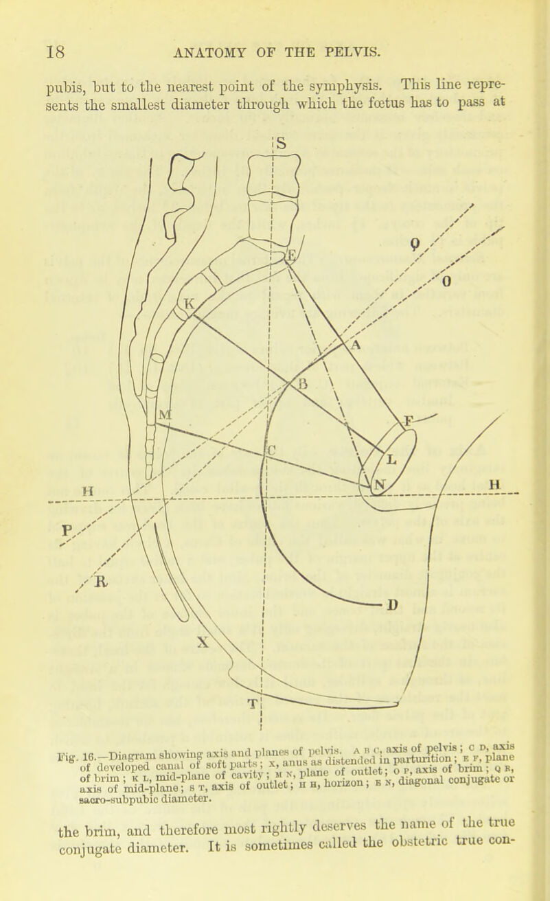 pubis, but to the nearest point of the symphysis. This line repre- sents the smallest diameter through which the foetus has to pass at sacro-subpubio diameter. the brim, and therefore most rightly deserves the name of the true conjugate diameter. It is sometimes called the obstetric true con-