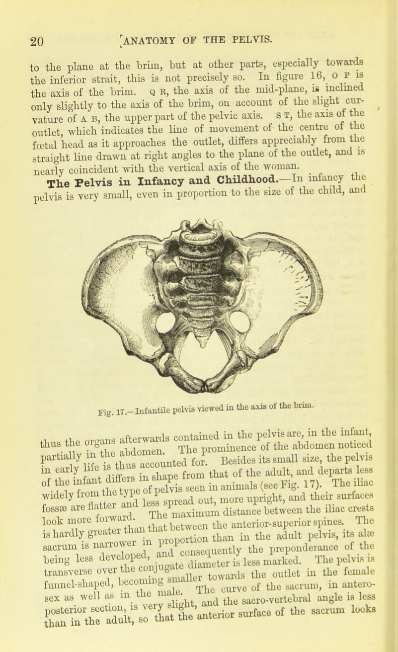 to the plane at the brim, but at other parts, especially towards the inferior strait, this is not precisely so. In figure 16, o p is the axis of the brim, q R, the axis of the mid-plane, is inclined only slightly to the axis of the brim, on account of the slight cur- vature of A B, the upper part of the pelvic axis, s T, the axis of the outlet, which indicates the line of movement of the centre of the foetal head as it approaches the outlet, differs appreciably from the straight line drawn at right angles to the plane of the outlet, and is nearly coincident with the vertical axis of the woman. The Pelvis in Infancy and Childhood.—In infancy the pelvis is very small, even in proportion to the size of the child, and Fig. 17.-Infaatile pelvis viewed in the axis of the brim. , «, nrmms afterwards contained in the pelvis are, in the infant, thus the organs atterwara of the abcWn noticed t thus accounted d Besides its small size, the pelvis S «t dint inThape from that of the adult and departs less • i l l the tvpe of pelvis seen in animals (see Fig. 17). The iliac T ^ Xter 2d less spread out, more upright, and their surfaces fossee are flatter ana distance between the ibac crests look more forward. Th ^ ^ is hardly greater thantnJ*™^ ^ the adult lvis, its al» sacrum is narrower m FJP™J™ the prepoiiderance of the being less developed, amcMJjjant y P ^ ^ fa transverse over the conjugate ban ^ female funnel-shaped, becoming smaller towards the^ ^ ^ sex as well as in the male sacr0-vertebral angle is less ^^^^^L*^«the sacrum l00k8