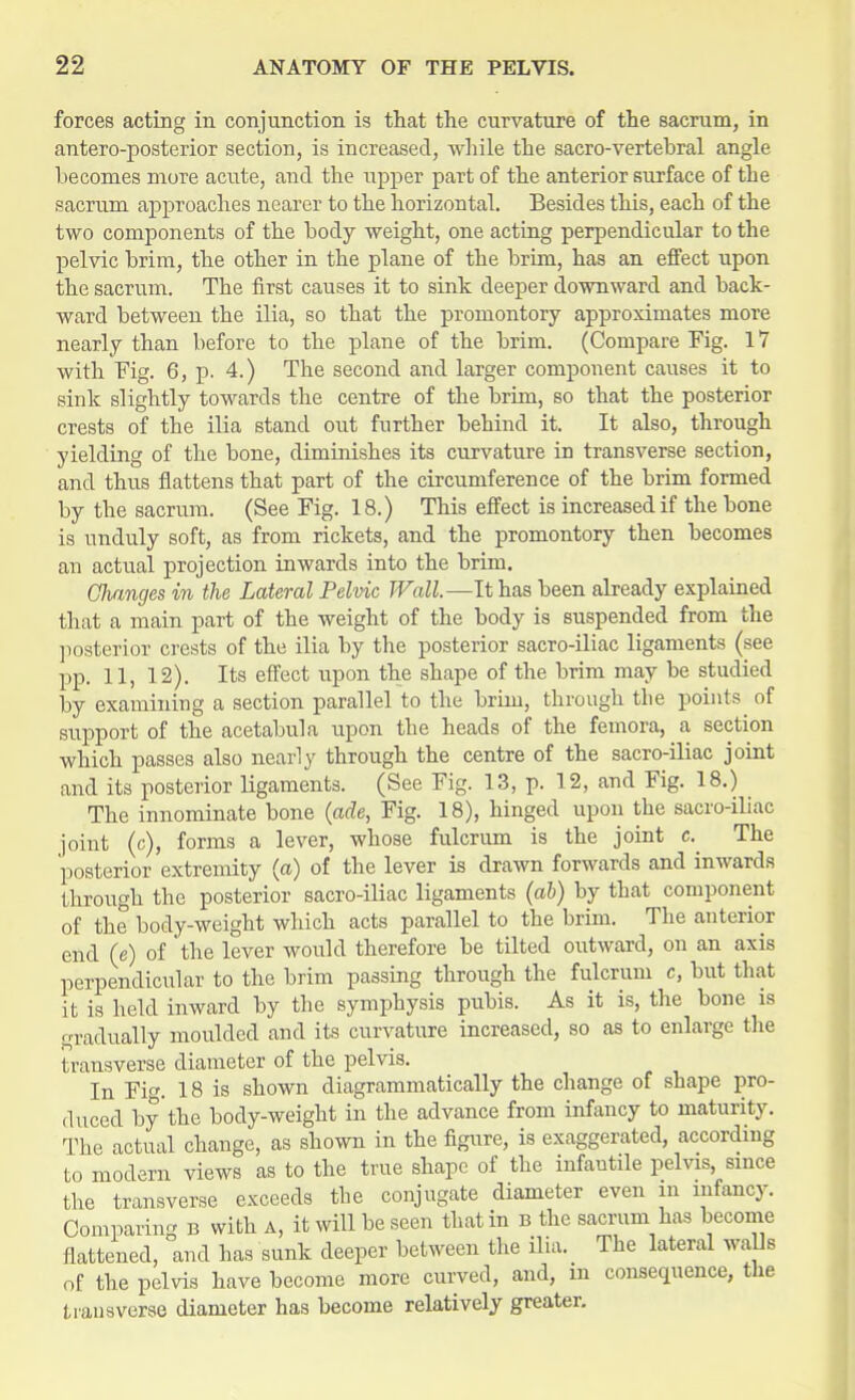 forces acting in conjunction is that the curvature of the sacrum, in antero-posterior section, is increased, while the sacro-vertebral angle becomes more acute, and the upper part of the anterior surface of the sacrum approaches nearer to the horizontal. Besides this, each of the two components of the body weight, one acting perpendicular to the pelvic brim, the other in the plane of the brim, has an effect upon the sacrum. The first causes it to sink deeper downward and back- ward between the ilia, so that the promontory approximates more nearly than before to the plane of the brim. (Compare Fig. IV with Fig. 6, p. 4.) The second and larger component causes it to sink slightly towards the centre of the brim, so that the posterior crests of the ilia stand out further behind it. It also, through yielding of the bone, diminishes its curvature in transverse section, and thus flattens that part of the circumference of the brim formed by the sacrum. (See Fig. 18.) This effect is increased if the bone is unduly soft, as from rickets, and the promontory then becomes an actual projection inwards into the brim. Changes in the Lateral Pelvic Wall.—It has been already explained that a main part of the weight of the body is suspended from the posterior crests of the ilia by the posterior sacro-iliac ligaments (see pp. 11, 12). Its effect upon the shape of the brim may be studied by examining a section parallel to the brim, through the points^ of support of the acetabula upon the heads of the femora, a section which passes also nearly through the centre of the sacro-iliac joint and its posterior ligaments. (See Fig. 13, p. 12, and Fig. 18.) The innominate bone (ade, Fig. 18), hinged upon the sacro-iliac joint (c), forms a lever, whose fulcrum is the joint c.^ The posterior extremity (a) of the lever is drawn forwards and inwards through the posterior sacro-iliac ligaments (ab) by that component of the body-weight which acts parallel to the brim. The anterior end (e) of the lever would therefore be tilted outward, on an axis perpendicular to the brim passing through the fulcrum c, but that it is held inward by the symphysis pubis. As it is, the bone is gradually moulded and its curvature increased, so as to enlarge the transverse diameter of the pelvis. In Fig. 18 is shown diagrammatically the change of shape pro- duced by the body-weight in the advance from infancy to maturity. The actual change, as shown in the figure, is exaggerated, according to modern views as to the true shape of the infautile pelvis, since the transverse exceeds the conjugate diameter even m infancy. Comparing b with A, it will be seen that in B the sacrum has become flattened, and has sunk deeper between the ilia. The lateral walls of the pelvis have become more curved, and, in consequence, the transverse diameter has become relatively greater.