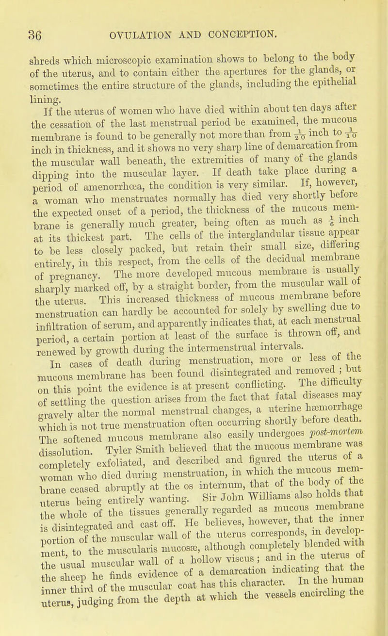 shreds which microscopic examination shows to belong to the body of the uterus, and to contain either the apertures for the glands, or sometimes the entire structure of the glands, including the epithelial lining. If the uterus of women who have died within about ten days alter the cessation of the last menstrual period be examined, the mucous membrane is found to be generally not more than from inch to inch in thickness, and it shows no very sharp line of demarcation from the muscular wall beneath, the extremities of many of the glands dipping into the muscular layer. If death take place during a period of amenorrhcea, the condition is very similar. If, however, a woman who menstruates normally has died very shortly before the expected onset of a period, the thickness of the mucous mem- brane is generally much greater, being often as much as T men at its thickest part. The cells of the interglandular tissue appear to be less closely packed, but retain their small size, differing entirely, in this respect, from the cells of the decidual membrane of pregnancy. The more developed mucous membrane is usually sharply marked off, by a straight border, from the muscular wall ol the uterus This increased thickness of mucous membrane belore menstruation can hardly be accounted for solely by swelling due to infiltration of serum, and apparently indicates that, at each menstrual period, a certain portion at least of the surface is thrown off, and renewed by growth during the intermenstrual intervals. In cases of death during menstruation, more or less ol the mucous membrane has been found disintegrated and removed ; but on this point the evidence is at present conflicting. The difficulty of settling the question arises from the fact that fatal diseases may gravely alter the normal menstrual changes, a uterme hemorrhage Sis not true menstruation often occurring shortly before death The softened mucous membrane also easily undergoes postmortem dissolution. Tyler Smith believed that the mucous membrane was coTplTly exfoliated, and described and figured the uterus of a voman who died during menstruation, in which the mucous n.em brine ceased abruptly at the os internum, that of the body ot tne utents being entirely wanting. Sir John Williams also holds that he whole of the tissues generally regarded as mucous membrane ^integrated and cast off. He believes, however, that the inner is <™«8»«* lar wall 0f the uterus corresponds, m develop- poxtion. of ,£e^3^W^ although compietely blended with ment, to the muscuians u , o g of