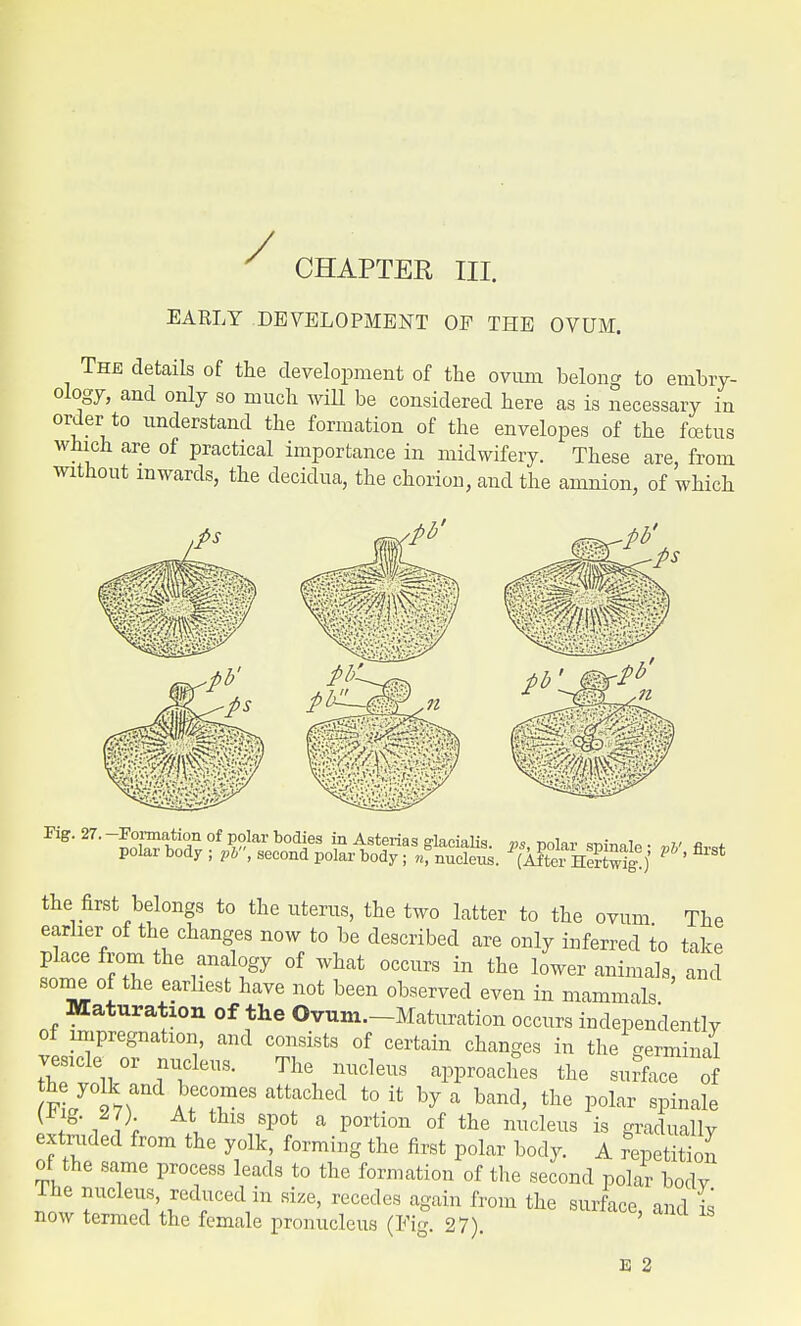 / CHAPTER III. EARLY DEVELOPMENT OF THE OVUM. The details of the development of the ovum belong to embry- ology, and only so much will be considered here as is necessary in order to understand the formation of the envelopes of the foetus which are of practical importance in midwifery. These are, from without inwards, the decidua, the chorion, and the amnion, of which Fig. 27. -Formation of polar bodies in Asterias glacialis. pS, polar snmale • nv *w polar body; pi, second polar body; ^nucleus. (Aftei HeZig!)' P ' * the first belongs to the uterus, the two latter to the ovum The earlier of the changes now to be described are only inferred to take place from the analogy of what occurs in the lower animals, and some of the earliest have not been observed even in mammals Maturation of the Ovum.—Maturation occurs independently of impregnation, and consists of certain changes in the germinal vesicle or nucleus. The nucleus approaches the surface of he yolk and becomes attached to it by a band, the polar spiuale ♦ i lh , 8 Sp0fc a portion of the ncleus is gradually extruded from the yolk, forming the first polar body. A repetition of the same process leads to the formation of the second polar body The nucleus, reduced in size, recedes again from the surface and is now termed the female pronucleus (Fig. 27). E 2