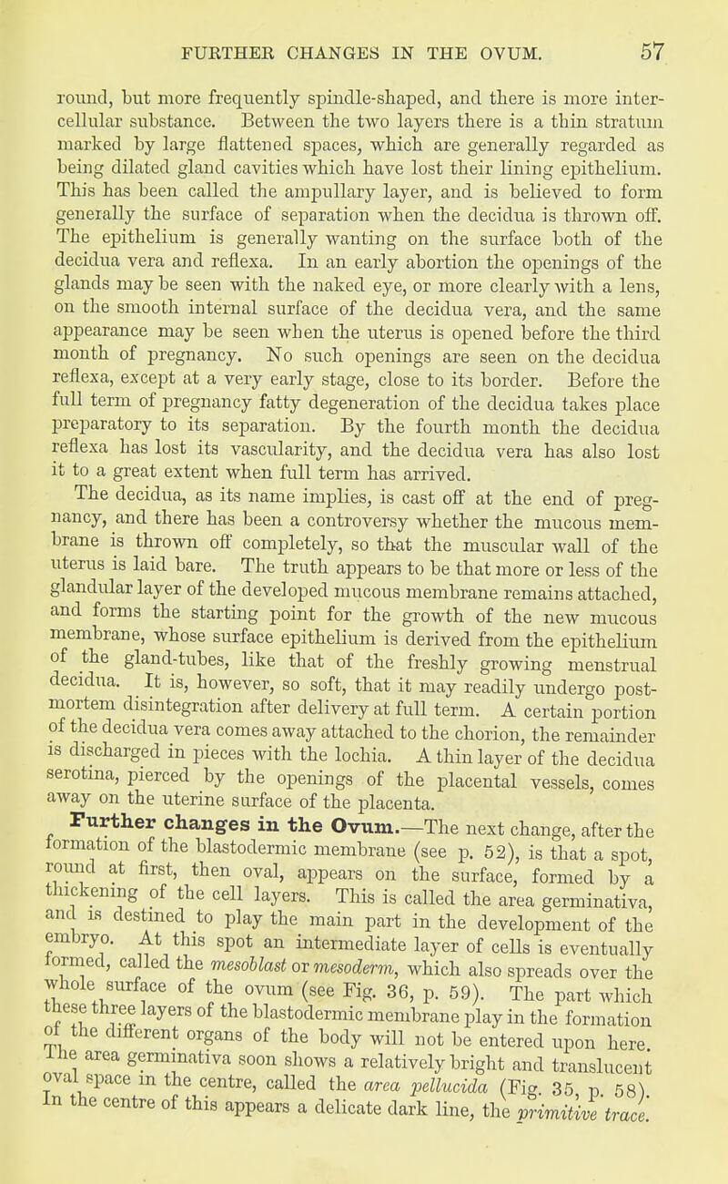 round, but more frequently spindle-shaped, and there is more inter- cellular substance. Between the two layers there is a thin stratum marked by large flattened spaces, which are generally regarded as being dilated gland cavities which have lost their lining epithelium. This has been called the ampullary layer, and is believed to form generally the surface of separation when the decidua is thrown off. The epithelium is generally wanting on the surface both of the decidua vera and reflexa. In an early abortion the openings of the glands may be seen with the naked eye, or more clearly with a lens, on the smooth internal surface of the decidua vera, and the same appearance may be seen when the uterus is opened before the third month of pregnancy. No such openings are seen on the decidua reflexa, except at a very early stage, close to its border. Before the full term of pregnancy fatty degeneration of the decidua takes place preparatory to its separation. By the fourth month the decidua reflexa has lost its vascularity, and the decidua vera has also lost it to a great extent when full term has arrived. The decidua, as its name implies, is cast off at the end of preg- nancy, and there has been a controversy whether the mucous mem- brane is thrown off completely, so that the muscular wall of the uterus is laid bare. The truth appears to be that more or less of the glandular layer of the developed mucous membrane remains attached, and forms the starting point for the growth of the new mucous membrane, whose surface epithelium is derived from the epithelium of the gland-tubes, like that of the freshly growing menstrual decidua. It is, however, so soft, that it may readily undergo post- mortem disintegration after delivery at full term. A certain portion of the decidua vera comes away attached to the chorion, the remainder is discharged in pieces with the lochia. A thin layer of the decidua serotma, pierced by the openings of the placental vessels, comes away on the uterine surface of the placenta. Further changes in the Ovum.—The next change, after the iormation of the blastodermic membrane (see p. 52), is that a spot, round at first, then oval, appears on the surface, formed by a thickening of the cell layers. This is called the area germinativa, and is destined to play the main part in the development of the embryo. At this spot an intermediate layer of cells is eventually lormed, called the mesoblast or mesoderm, which also spreads over the whole surface of the ovum (see Fig. 36, p. 59). The part which these three layers of the blastodermic membrane play in the formation ot the different organs of the body will not be entered upon here Ihe area germinativa soon shows a relatively bright and translucent oval space m the centre, called the area pellucida (Fig 35 p 58) In the centre of this appears a delicate dark line, the vrimitive trace