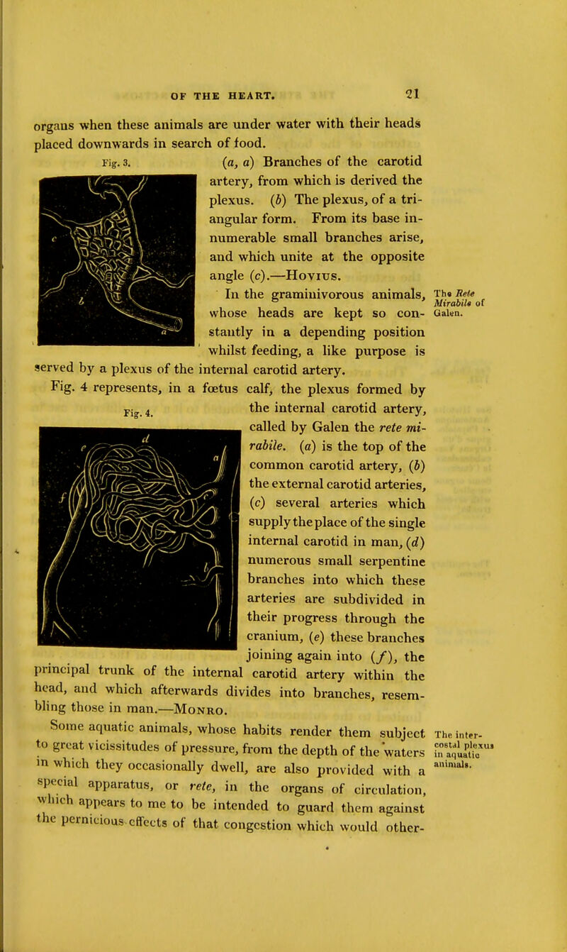 Fis. 4. organs when these animals are under water with their heads placed downwards in search of food. Fig. 3. (a, a) Branches of the carotid artery, from which is derived the plexus, (b) The plexus, of a tri- angular form. From its base in- numerable small branches arise, and which unite at the opposite angle (c).—Hovius. In the gramiuivorous animals, Th« flete ° Mirabilt of whose heads are kept so con- GaiBn. stantly in a depending position whilst feeding, a like purpose is served by a plexus of the internal carotid artery. Fig. 4 represents, in a foetus calf, the plexus formed by the internal carotid artery, called by Galen the rete mi- rabile. (a) is the top of the common carotid artery, (b) the external carotid arteries, (c) several arteries which supply the place of the single internal carotid in man, (d) numerous small serpentine branches into which these arteries are subdivided in their progress through the cranium, (e) these branches joining again into (/), the principal trunk of the internal carotid artery within the head, and which afterwards divides into branches, resem- bhng those in man.—Monro. Some aquatic animals, whose habits render them subject The inter- to great vicissitudes of pressure, from the depth of the waters T.^.^^* in which they occasionally dwell, are also provided with a special apparatus, or rete, in the organs of circulation, winch appears to me to be intended to guard them against the pernicious effects of that congestion which would other-