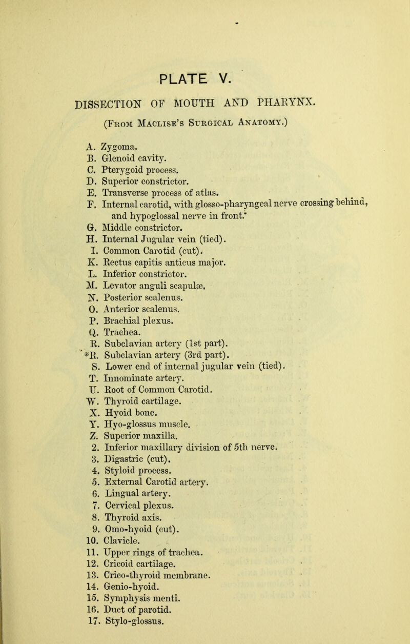 DISSECTION OF MOUTH AND PHARYNX. (From Maclise's Surgical Anatomy.) A. Zygoma. B. Glenoid cavity. C. Pterygoid process. D. Superior constrictor. E. Transverse process of atlas. P. Internal carotid, Avith glosso-pharyngeal nerve crossing behind, and hypoglossal nerve in front. Gr. Middle constrictor. H. InternalJugular vein (tied). 1. Common Carotid (cut). K. Kectus capitis anticus major. L. Inferior constrictor. M. Levator anguli scapulce. N. Posterior scalenus. 0. Anterior scalenus. P. Brachial plexus. Q. Trachea. R. Subclavian artery (1st part). ' *R. Subclavian artery (3rd part). S. Lower end of internal jugular vein (tied). T. Innominate artery. U. Root of Common Carotid. W. Thyroid cartilage. X. Hyoid bone. Y. Hyo-glossus muscle. Z. Superior maxilla. 2. Inferior maxillary division of 5th nerve. 3. Digastric (cut). 4. Styloid process. 5. External Carotid artery. 6. Lingual artery. 7. Cervical plexus. 8. Thyroid axis. 9. Omo-hyoid (cut). 10. Clavicle. 11. Upper rings of trachea. 12. Cricoid cartilage. 13. Crico-thyroid membrane. 14. Genio-hyoid. 15. Symphysis menti. 16. Duct of parotid. 17. Stylo-glossus.