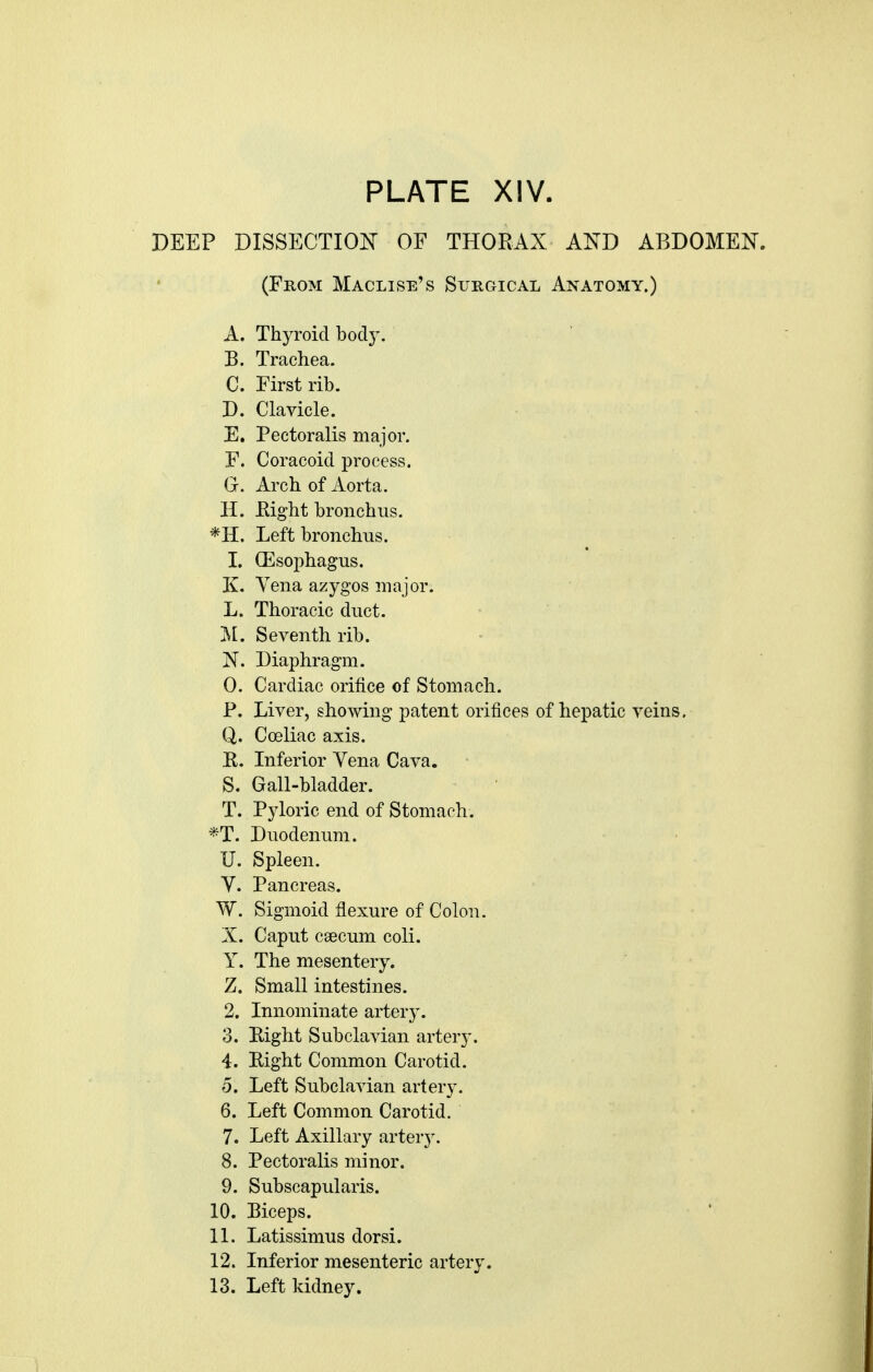 DEEP DISSECTION OF THORAX AND ABDOMEN. (From Maclise's Surgical Anatomy.) A. Thyroid bod}-. B. Trachea. C. First rib. D. Clavicle. E. Pectoralis major. F. Coracoid process. G. Arch of Aorta. H. Eight bronchus. *H. Left bronchus. 1. Oesophagus. K. Vena azygos major. L. Thoracic duct. !M. Seventh rib. N. Diaphragm. 0. Cardiac orifice of Stomach. P. Liver, showing patent orifices of hepatic veins. Q. Coeliac axis. R. Inferior Vena Cava. 5. Gall-bladder. T. Pyloric end of Stomach. *T. Duodenum. U. Spleen. V. Pancreas. W. Sigmoid flexure of Colon. X. Caput caecum coli. Y. The mesentery. Z. Small intestines. 2. Innominate artery. 3. Bight Subclavian artery. 4. Right Common Carotid. 0. Left Subclavian artery. 6. Left Common Carotid. 7. Left Axillary arter)\ 8. Pectoralis minor. 9. Subscapularis. 10. Biceps. 11. Latissimus dorsi. 12. Inferior mesenteric artery. 13. Left kidney.