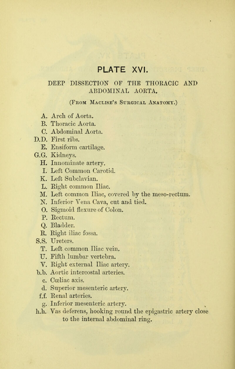 DEEP DISSECTION OF THE THOKACIC AND ABDOMINAL AORTA. (From Maclise's Surgical Anatomy.) A. Arch of Aorta. B. Thoracic Aorta. C. Abdominal Aorta. D.D. First ribs. E. Ensiform cartilage. G.G. Kidneys. H. Innominate artery. I. Left Common Carotid. K. Left Subclavian. L. Eight common Iliac. M. Left common Iliac, covered by the meso-rectum. N. Inferior Vena Cava, cut and tied. 0. Sigmoid flexure of Colon. P. Eectum. Q. Bladder. R. Bight iliac fossa. S.S. Ureters. T. Left common Iliac vein. U. Fifth lumbar vertebra. y. Bight external Iliac artery, b.b. Aortic intercostal arteries. c. Cceliac axis. d. Superior mesenteric artery, f.f. Benal arteries. g. Inferior mesenteric artery, h.h. Vas deferens, hooking round the epigastric artery close to the internal abdominal ring.