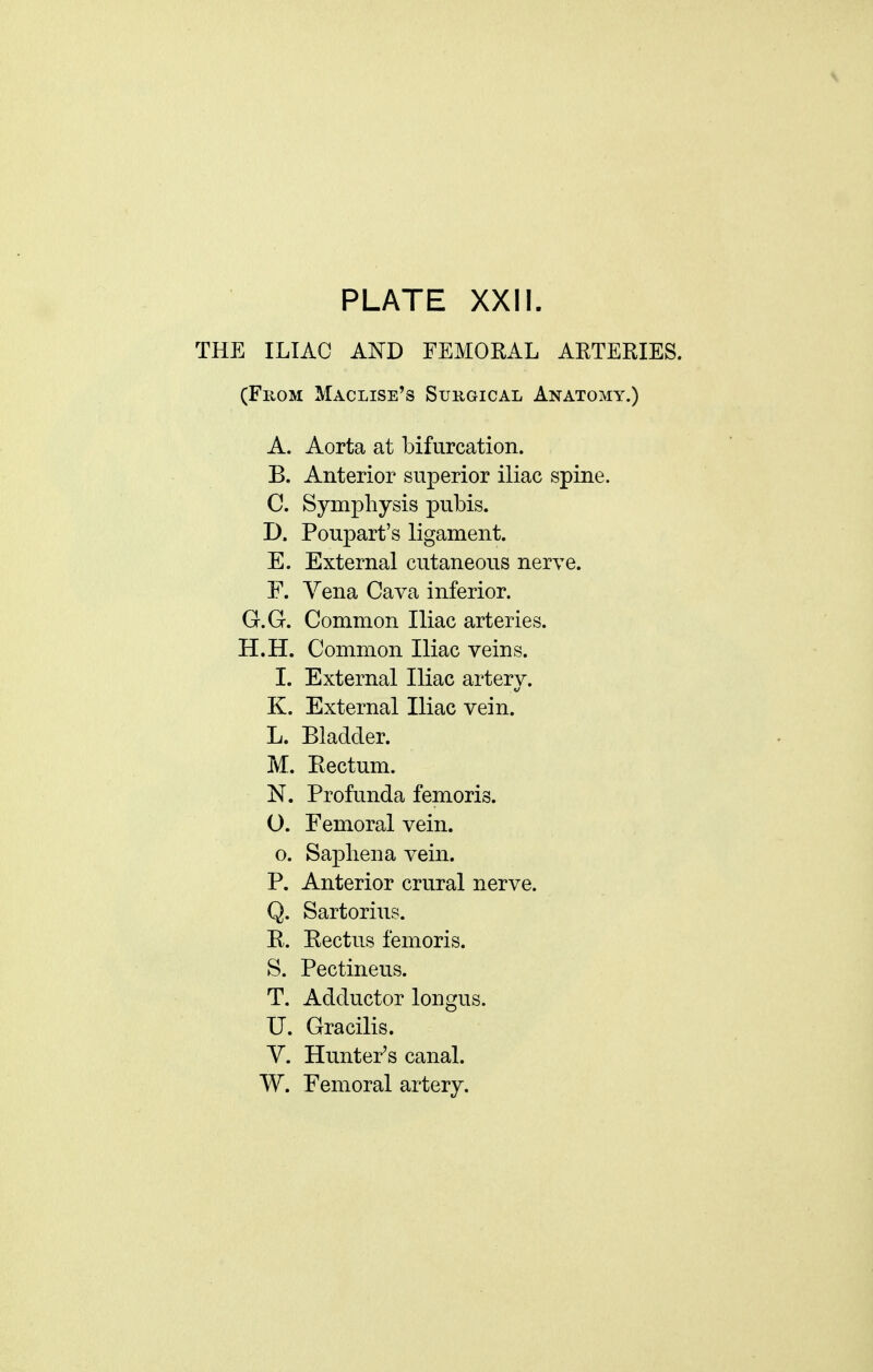 THE ILIAC AND FEMORAL ARTERIES. (FiioM Maclise's Suugical Anatomy.) A. Aorta at bifurcation. B. Anterior superior iliac spine. C. Symphysis pubis. D. Poupart's ligament. E. External cutaneous nerve. F. Yena Cava inferior. G. G. Common Iliac arteries. H. H. Common Iliac veins. I. External Iliac artery. K. External Iliac vein. L. Bladder. M. Eectum. N. Profunda femoris. O. Femoral vein, o. Sapliena vein. P. Anterior crural nerve. Q. Sartoriiis. R. Rectus femoris. S. Pectineus. T. Adductor longus. U. Gracilis. V. Hunter's canal. W. Femoral artery.