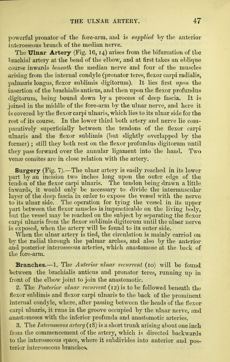 powerful pronator of tlie fore-arm, and is siqjplied \>y the anterior interosseous branch of the median nerve. The Ulnar Artery (Fig. 16, 14) arises from the bifurcation of the ])rachial artery at the bend of the elbow, and at first takes an oblique course inwards beneath the median nerve and four of the muscles arising from the internal condyle (pronator teres, flexor carpi radialis, palniaris longus, flexor sublimis digitorum). It lies first iqjon the insertion of the brachialis anticus, and then upon the flexor profundus digitorum, being bound down by a process of deep fascia. It is joined in the middle of the fore-arm by the ulnar nerve, and here it is covered by the flexor carpi ulnaris, which lies to its nlnar side for the rest of its course. In the lower tliird both artery and nerve lie com- paratively superticially between the tendons of the flexor carpi idnaris and the flexor sublimis (but slightly overlapped by the former) ; still they both rest on the flexor profundus digitorum until they pass forward over the annular ligament into the hand. Two vense comites are in close relation with the artery. Surgery (Fig. *7).—The nlnar artery is easily reached in its lower part by an incision two inches long upon the outer edge of the tendon of the flexor carpi nlnaris. The tendon being drawn a little inwards, it would only be necessary to divide the intermuscular layer of the deep fascia in order to expose the vessel with the nerve to its ulnar side. The operation for tying the vessel in its upper part between the flexor muscles is impracticable on the living body, but the vessel may be reached on the subject by separating the flexor carpi ulnaris from the flexor sublimis digitorum until the ulnar nerve is exposed, when the artery will be found to its outer side. When the ulnar artery is tied, the circulation is mainly carried on by the radial through the palmar arches, and also by the anterior and posterior interosseous arteries, which anastomose at the back of the fore-arm. Branelies.—1. The Anterior ulnar recurrent (10) will be found between the brachialis anticus and pronator teres, running up in front of the elbow joint to join the anastomotic. 2. The Posterior ulnar recurrent (12) is to be followed beneath the flexor sublimis and flexor carpi ulnaris to tlie back of the prominent internal condyle, where, after passing between the heads of the flexor carpi ulnaris, it runs in the groove occupied by the ulnar nerve, and anastomoses with the inferior profunda and anastomotic arteries. 3. The Interosseous artery (18) is a short trunk arising about one inch from the commencement of the artery, which is directed backwards to the interosseous space, where it subdivides into anterior and j)os- terior interosseous branches^
