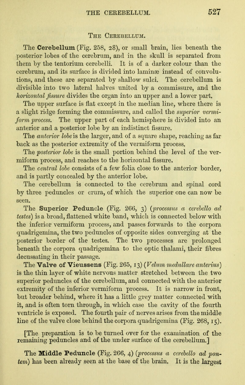 The Cerebellum. The Cerebellum (Fig. 258, 28), or small brain, lies beneath the posterior lobes of the cerebrum, and in the skull is separated from them by the tentorium cerebelli. It is of a darker colour than the cerebrum, and its surface is divided into laminse instead of convolu- tions, and these are separated by shallow sulci. The cerebellum is divisible into two lateral halves united by a commissure, and the horizontal fissure divides the organ into an upper and a lower part. The upper surface is flat except in the median line, where there is a slight ridge forming the commissure, and called the superior vermi- form process. The upper part of each hemisphere is divided into an anterior and a posterior lobe by an indistinct fissure. The anterior lobe is, the larger, and of a square shape, reaching as far back as the posterior extremity of the vermiform process. The posterior lobe is the small portion behind the level of the ver- miform process, and reaches to the horizontal fissure. The central lobe consists of a few folia close to the anterior border, and is partly concealed by the anterior lobe. The cerebellum is connected to the cerebrum and spinal cord by three peduncles or crura, of which the superior one can now be seen. The Superior Peduncle (Fig. 266, 3) {processus a cerebello ad testes) is a broad, flattened white band, which is connected below with the inferior vermiform process, and passes forwards to the corpora quadrigemina, the two peduncles of opposite sides converging at the posterior border of the testes. The two processes are prolonged beneath the corpora quadrigemina to the optic thalami, their fibres decussating in their passage. The Valve of Vieussens (Fig. 265, 13) {Velum medullare anterius) is the thin layer of white nervous matter stretched between the two superior peduncles of the cerebellum, and connected with the anterior extremity of the inferior vermiform process. It is narrow in front, but broader behind, where it has a little grey matter connected with it, and is often torn through, in which case the cavity of the fourth ventricle is exposed. The fourth pair of nerves arises from the middle line of the valve close behind the corpora quadrigemina (Fig. 268,15). [The preparation is to be turned over for the examination of the remaining peduncles and of the under surface of the cerebellum.] The Middle Peduncle (Fig. 266, 4) {processus a cerebello ad pon- tern) has been already seen at the base of the brain. It is the largest